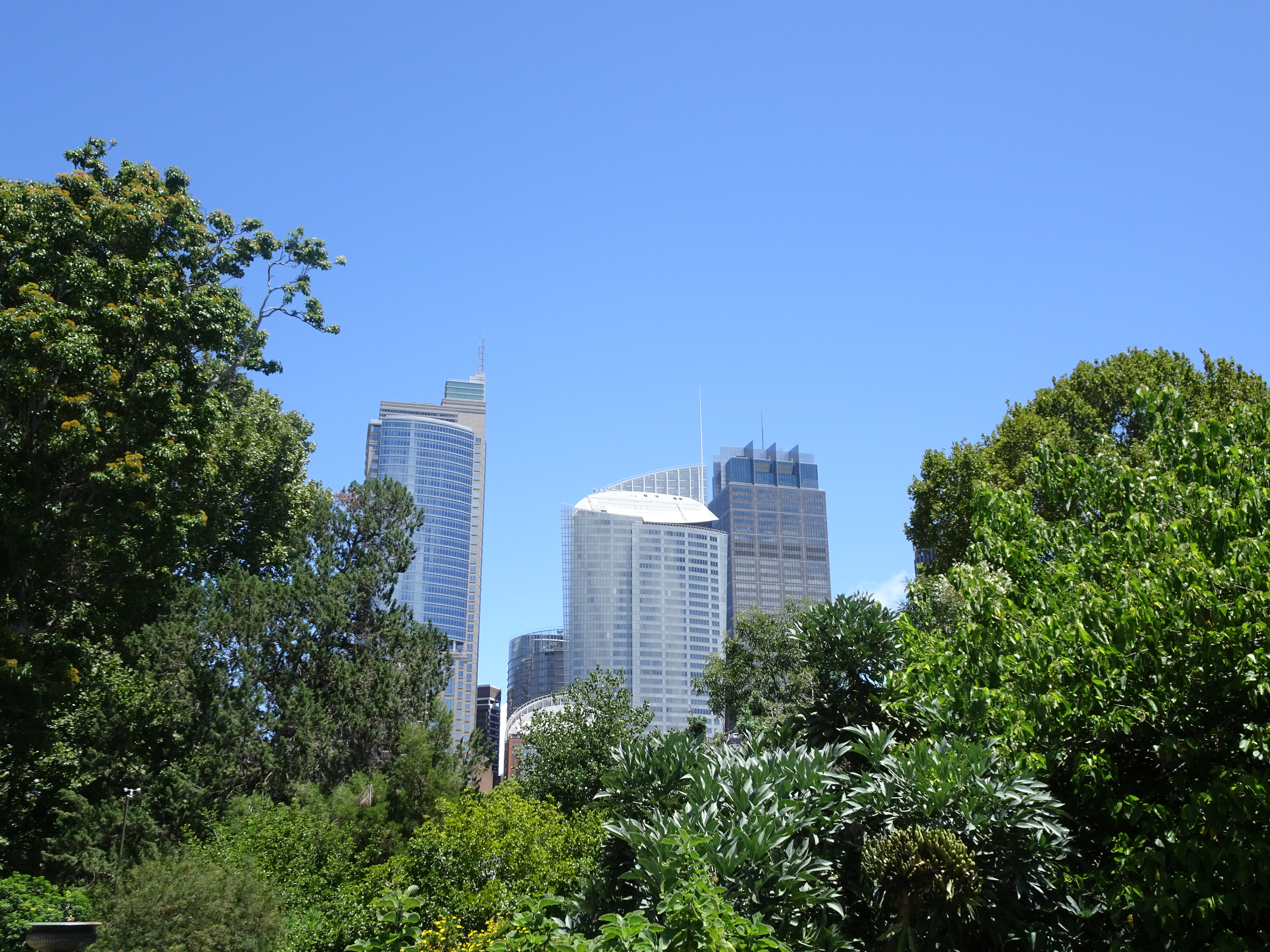 DSC09195