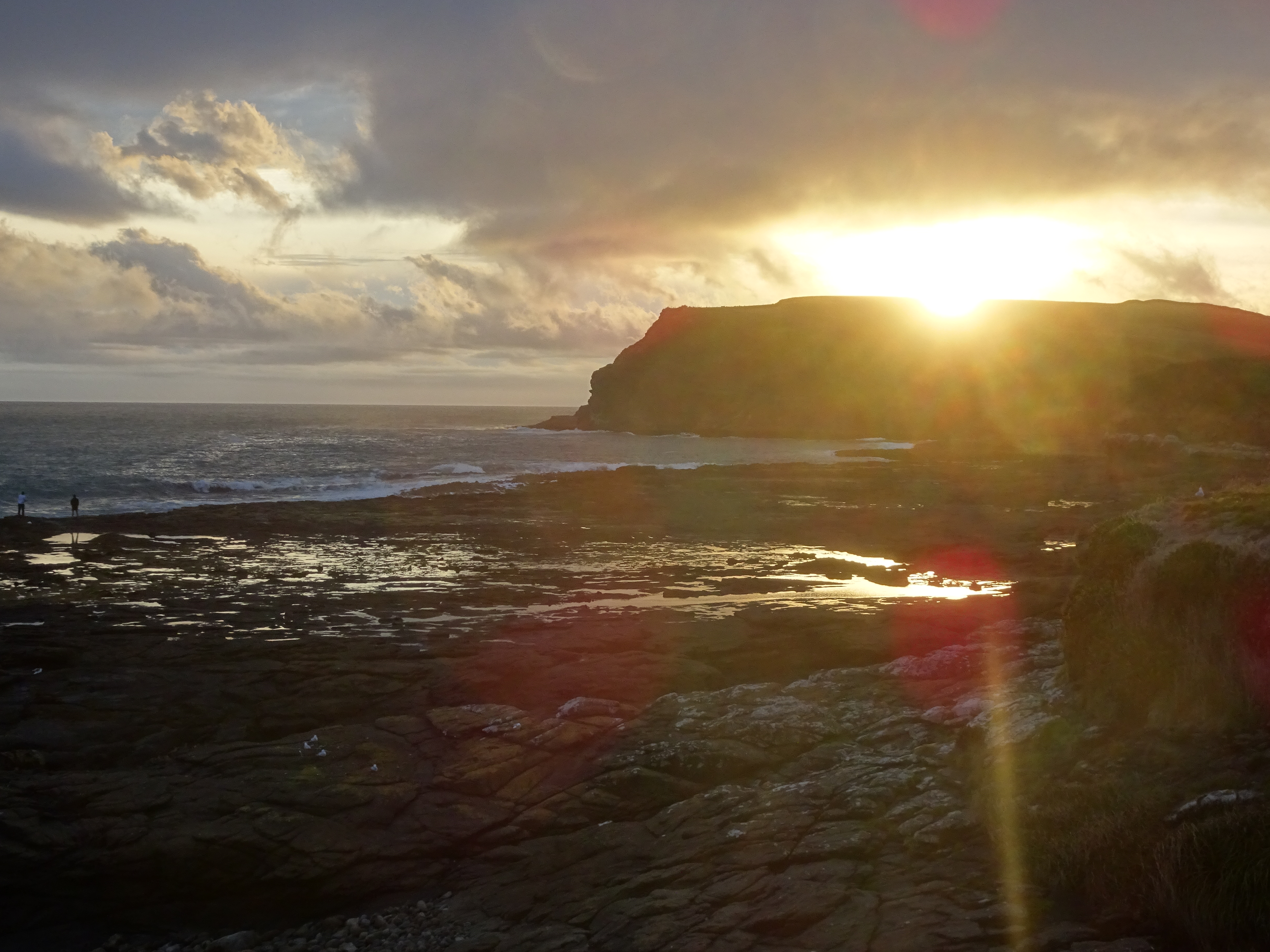 DSC00976