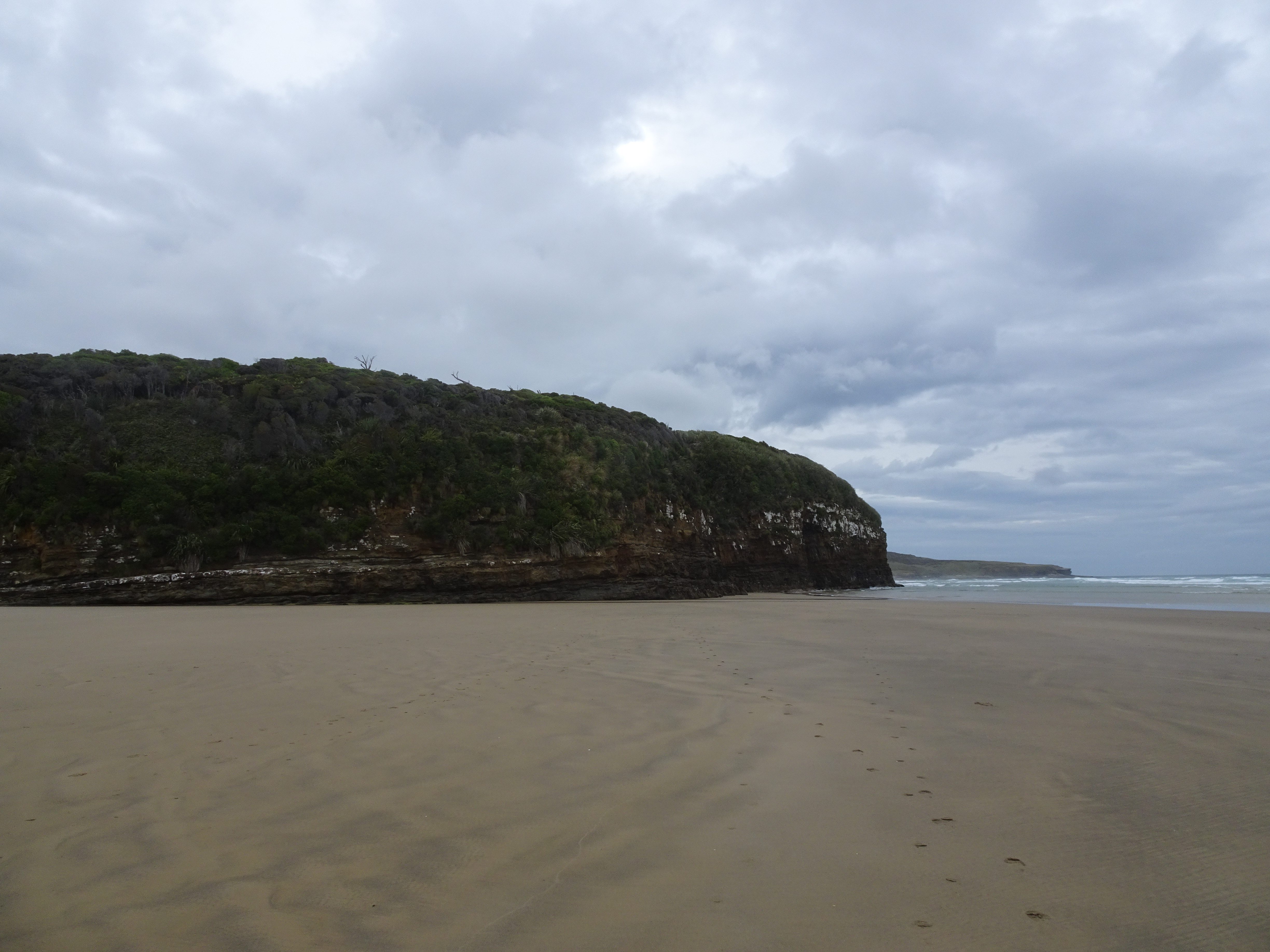 DSC00979