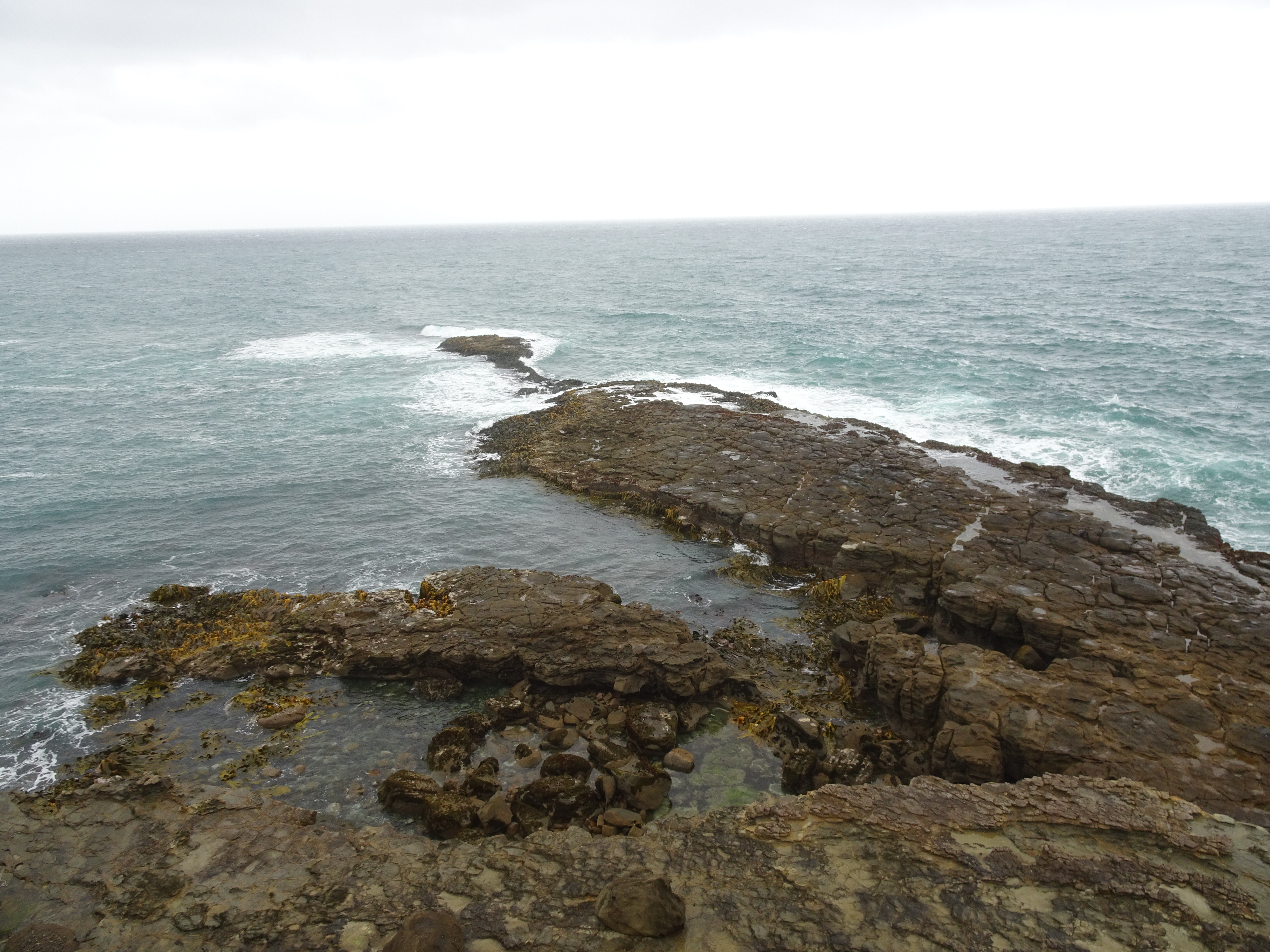 DSC01020