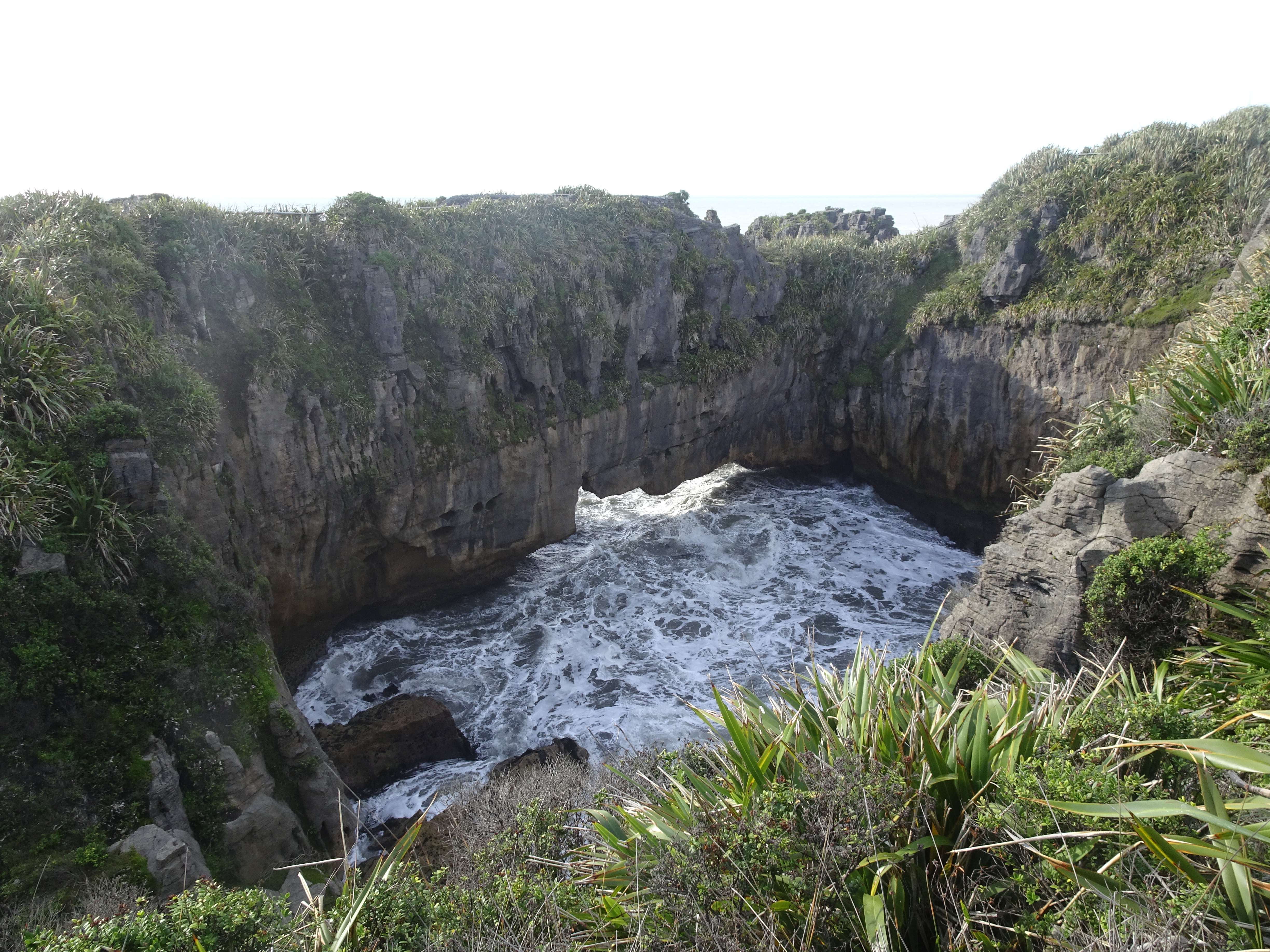 DSC01365