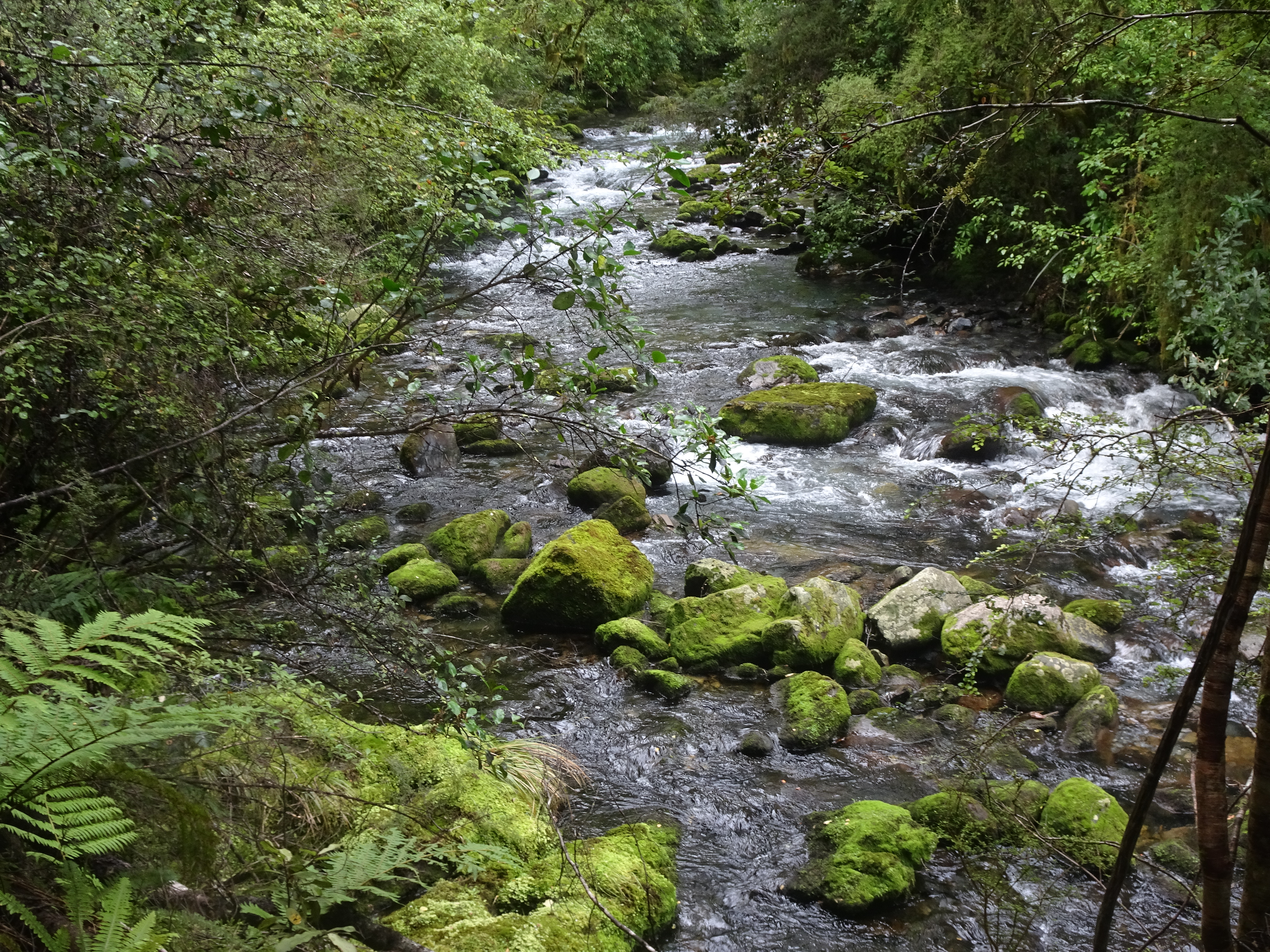 DSC01403