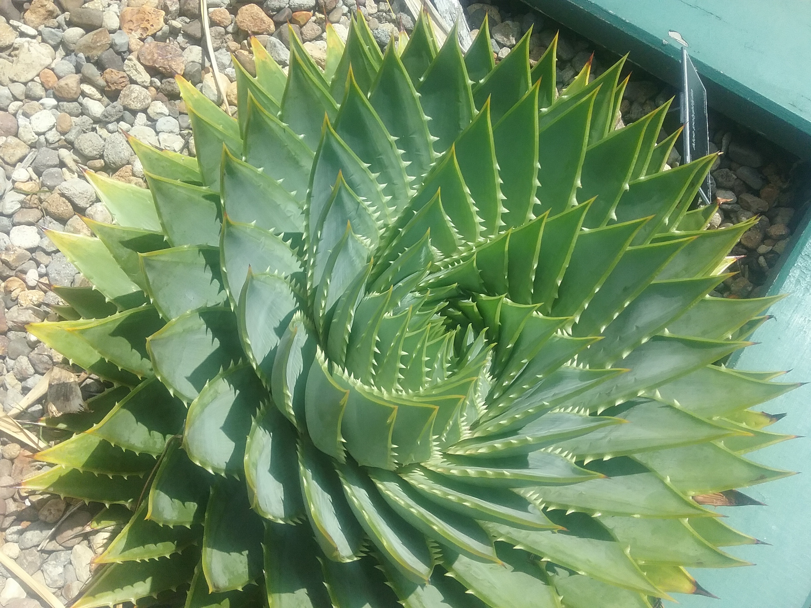 20170228_142523