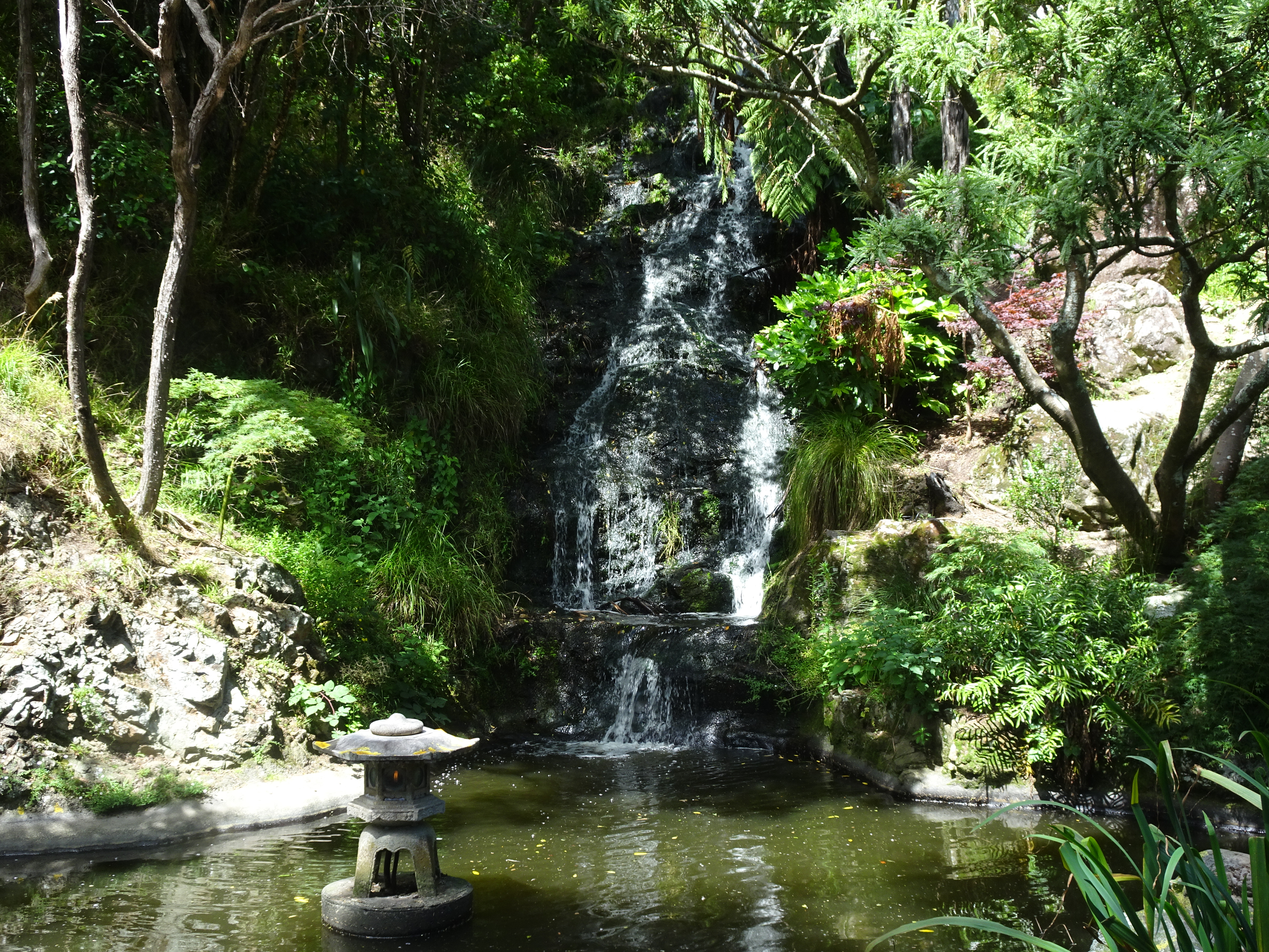 DSC01674