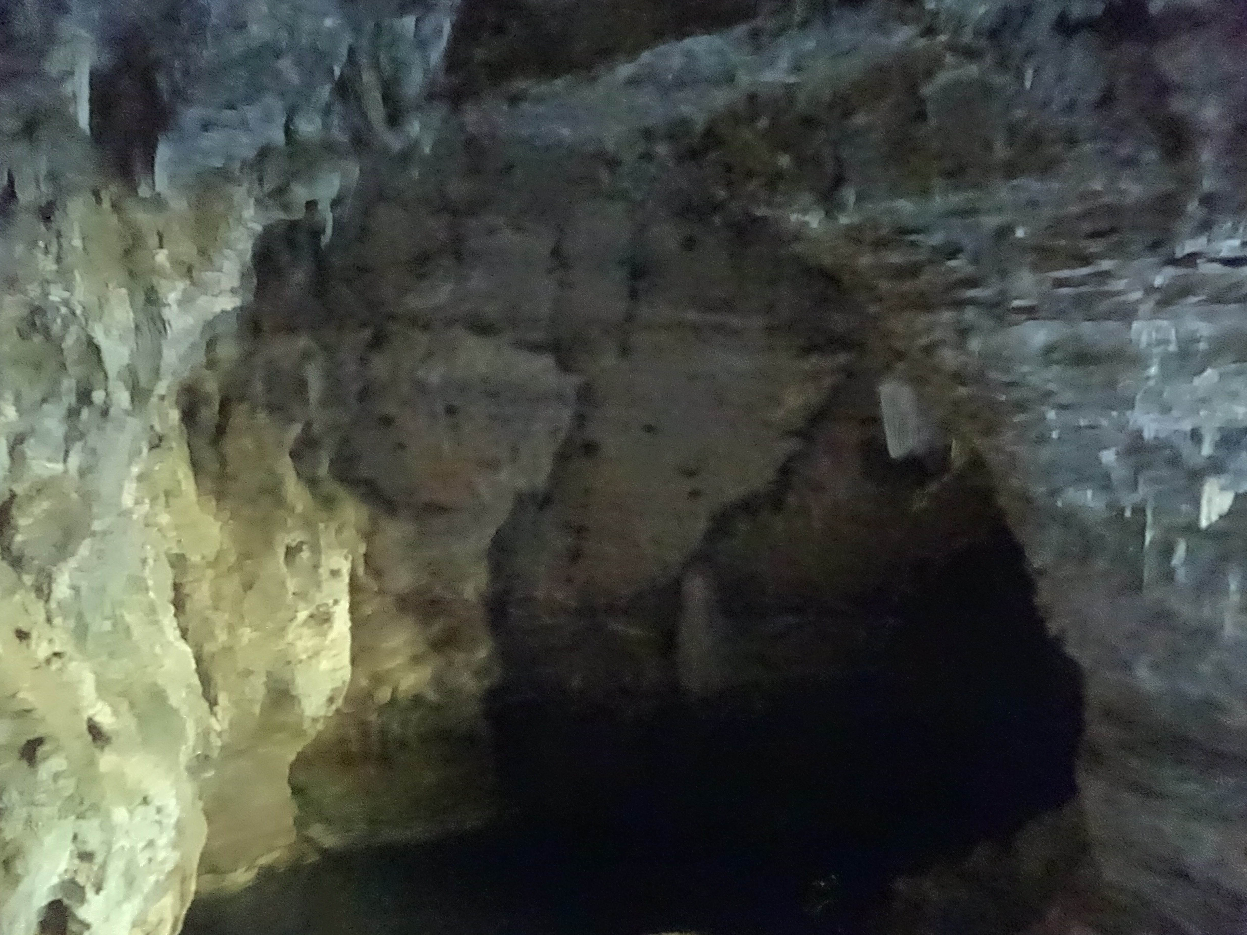 DSC01977