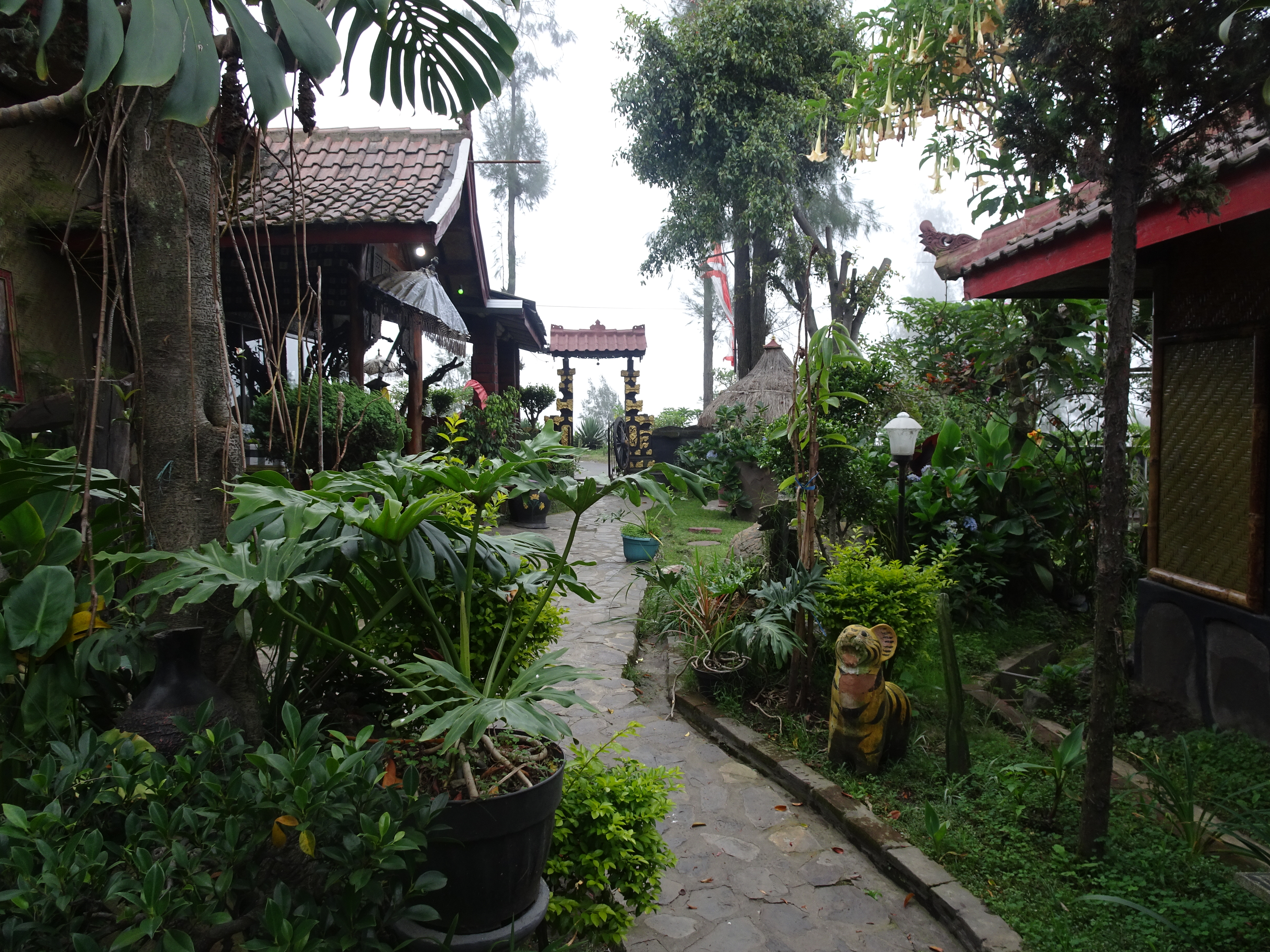 DSC02433