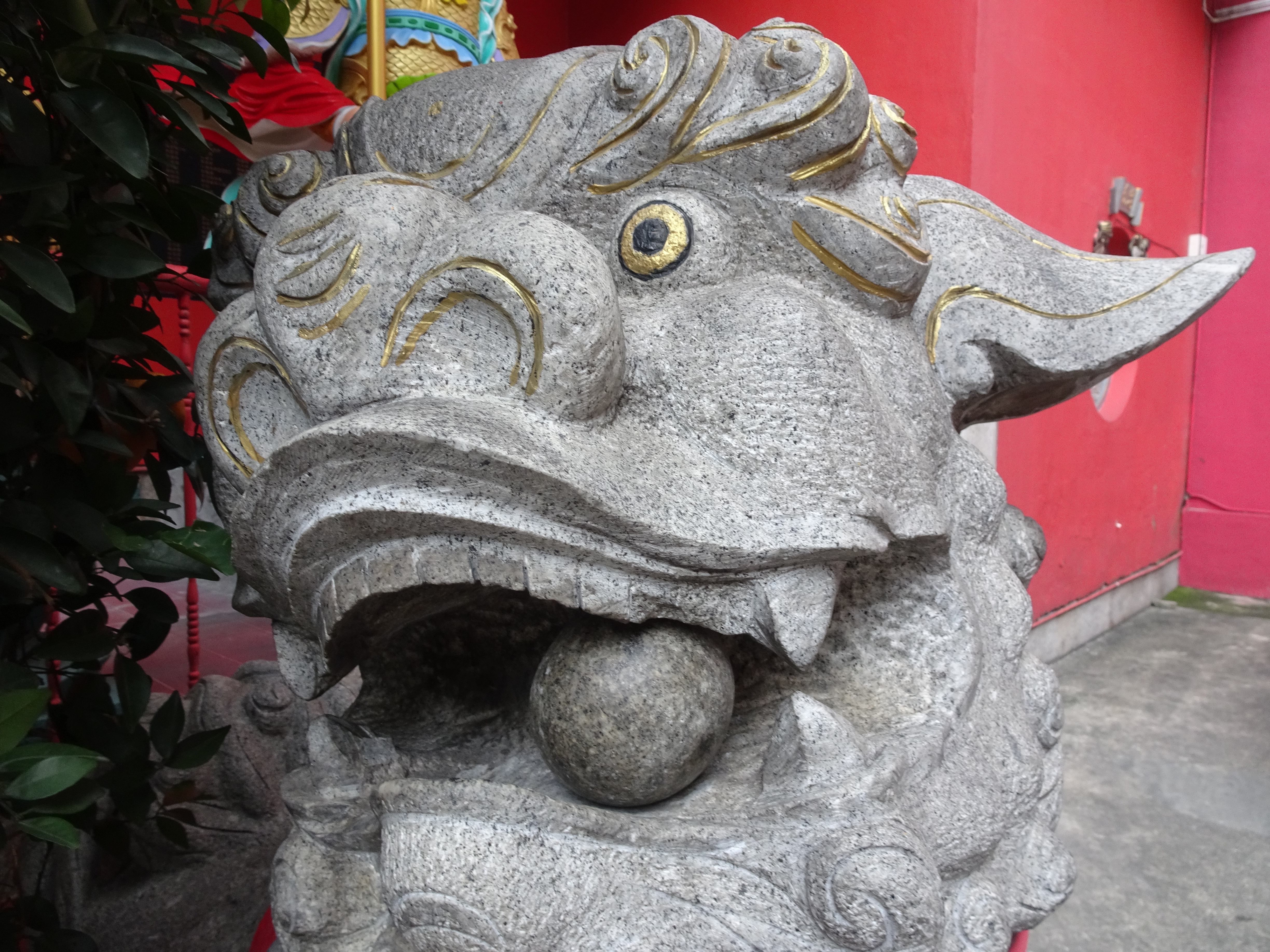 DSC03341