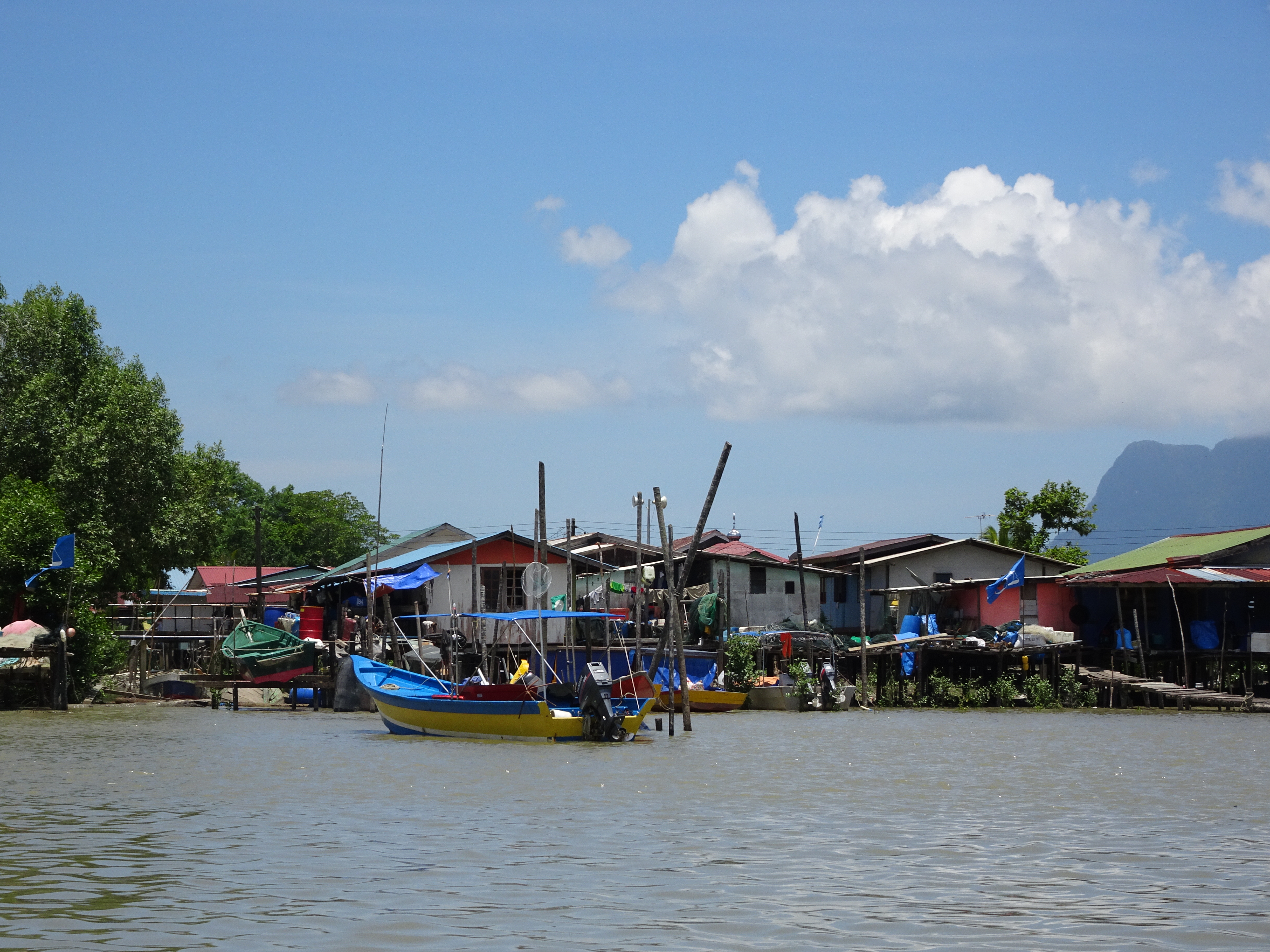 DSC03631