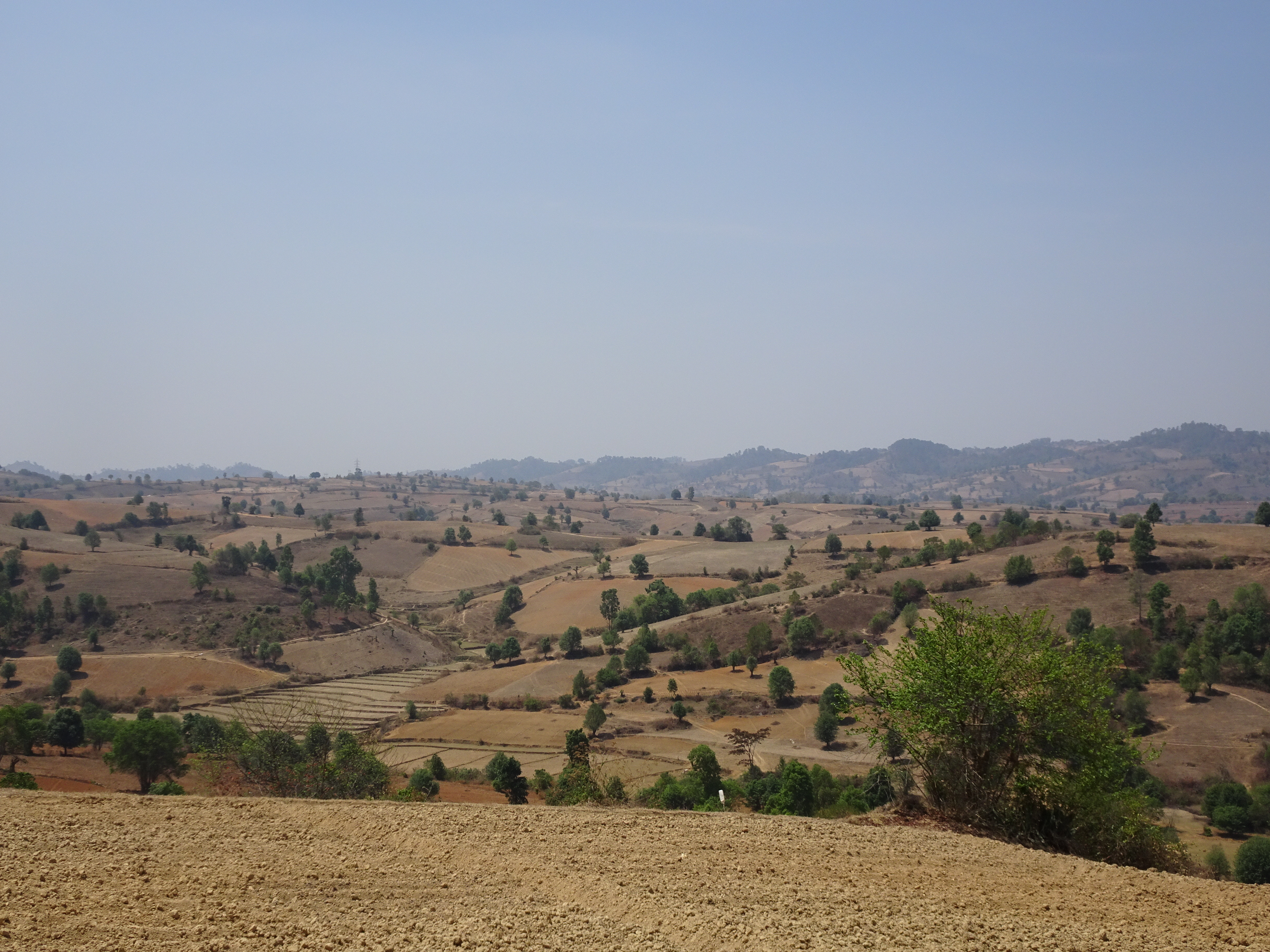 DSC05373