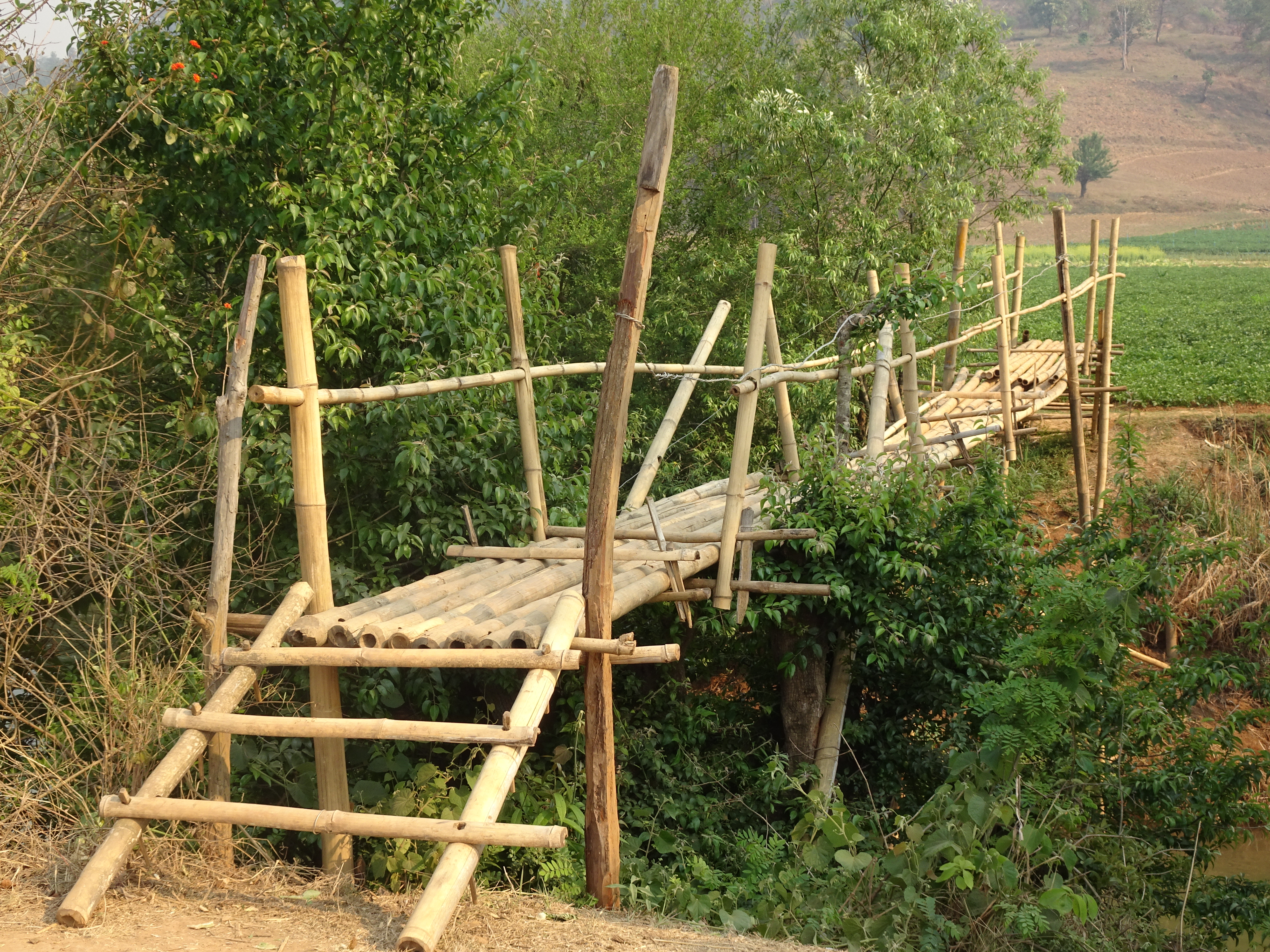 DSC05400