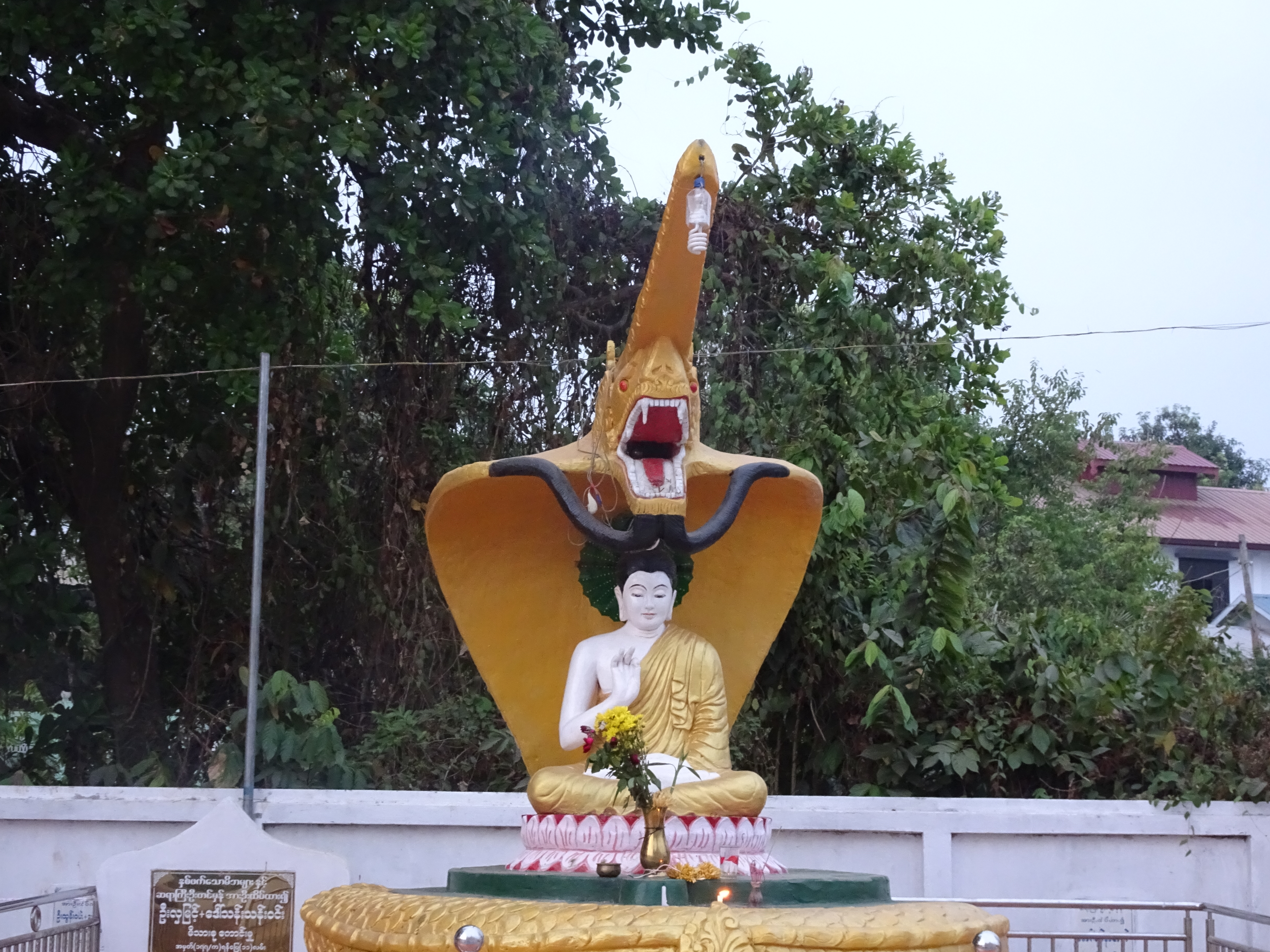 DSC05670