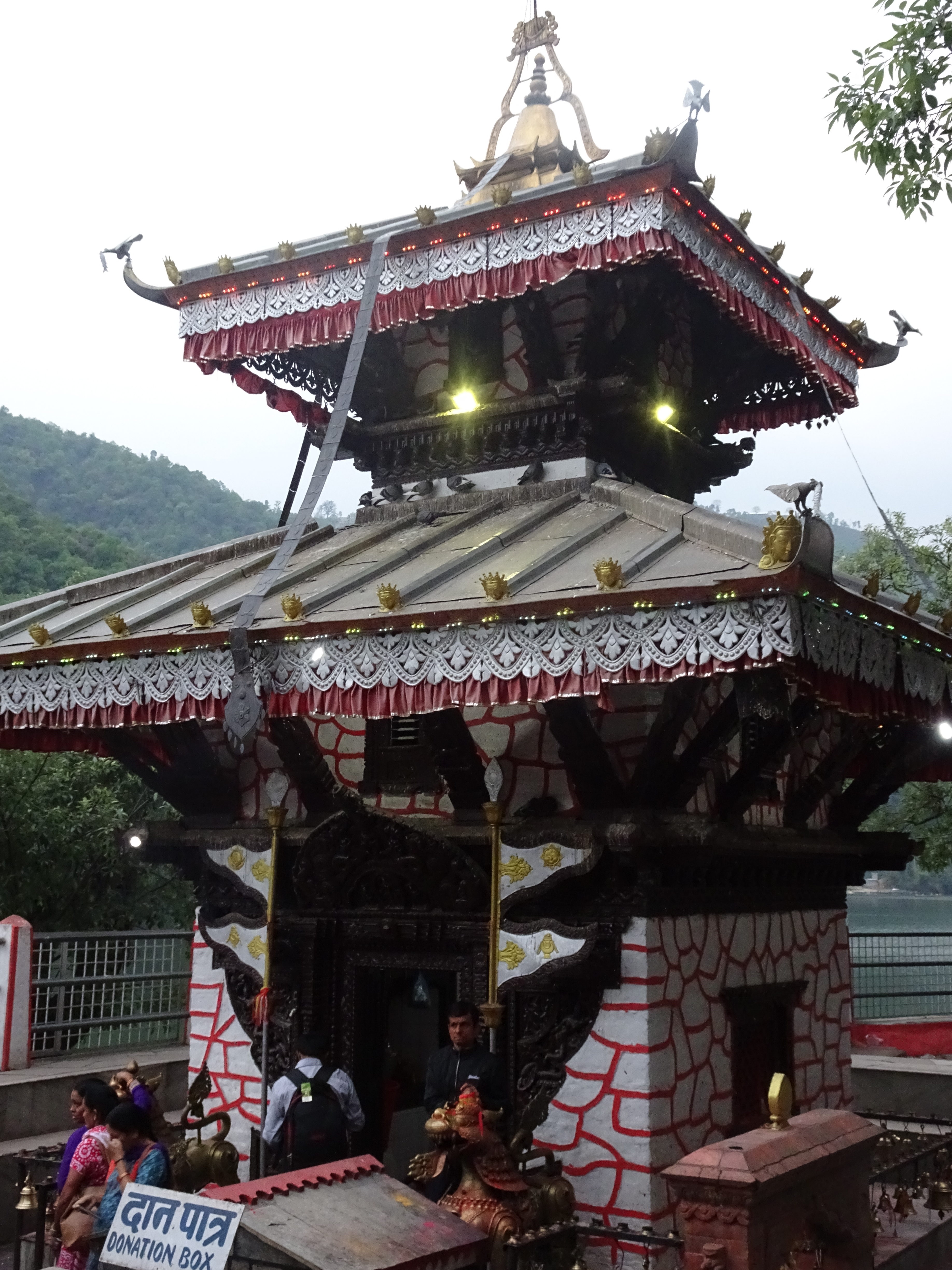 DSC05900
