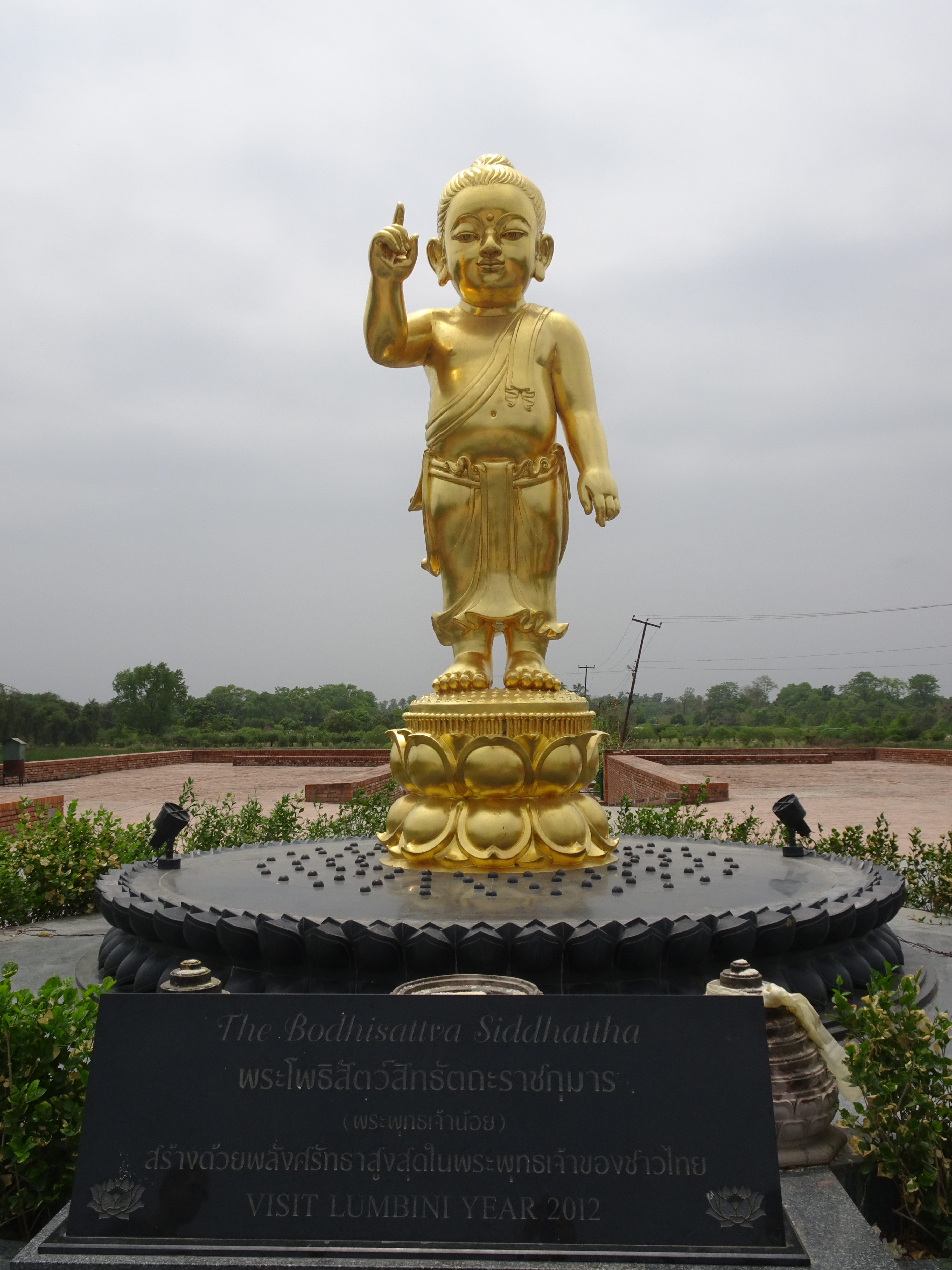 DSC06405