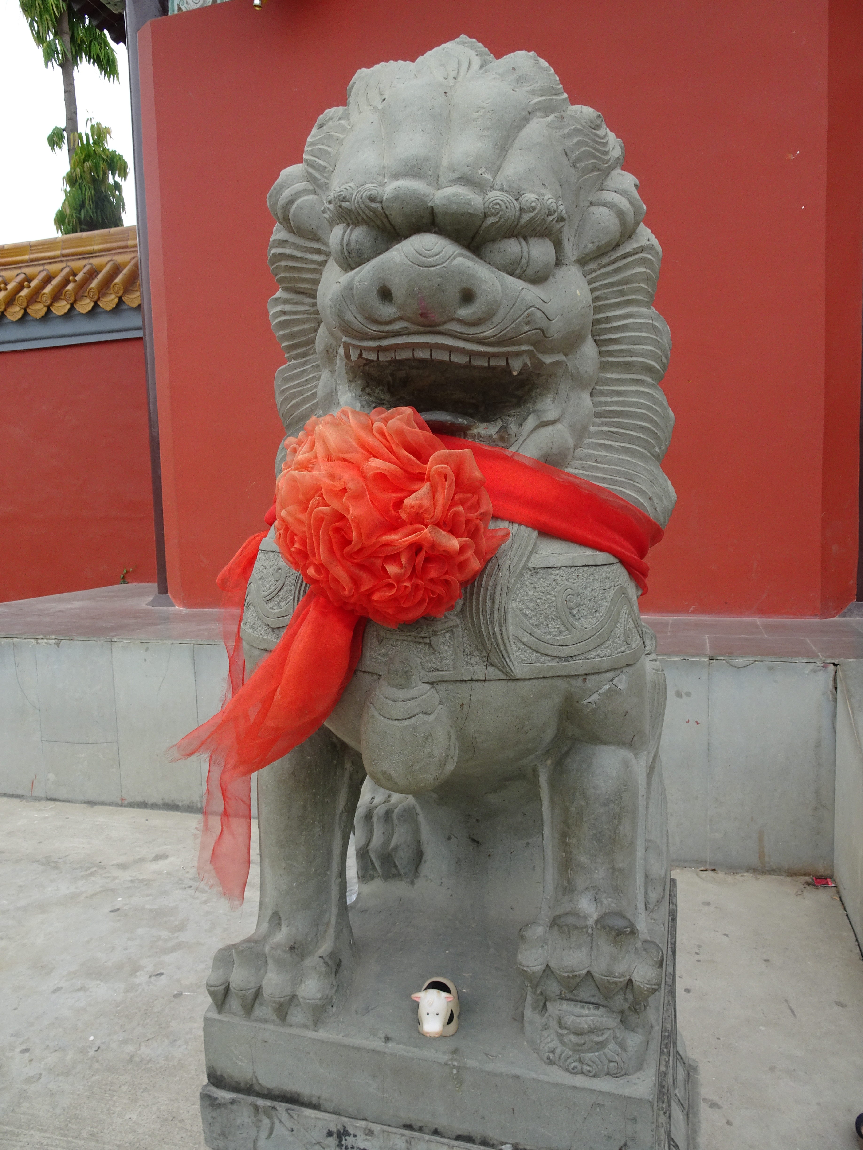 DSC06420