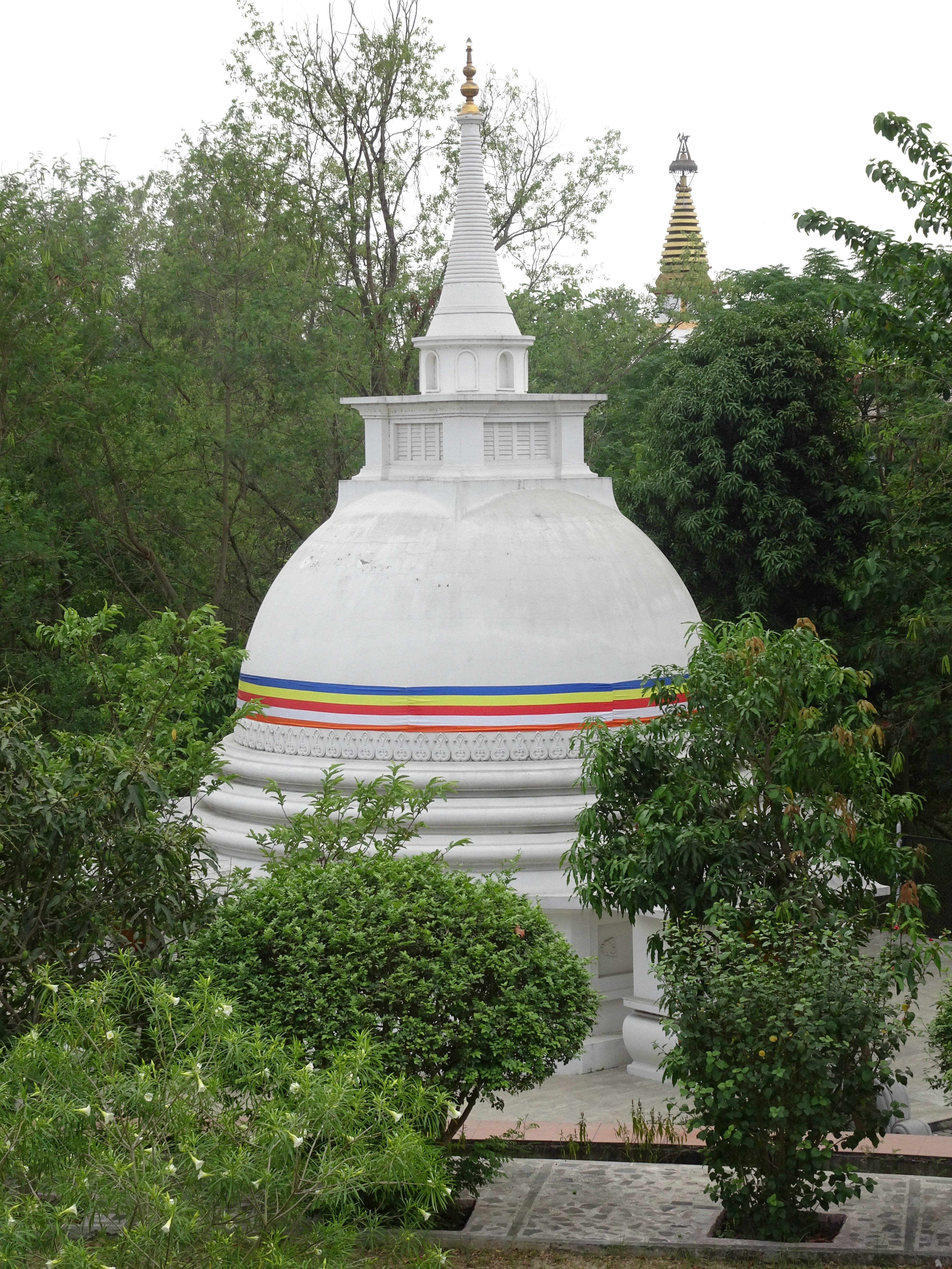 DSC06526
