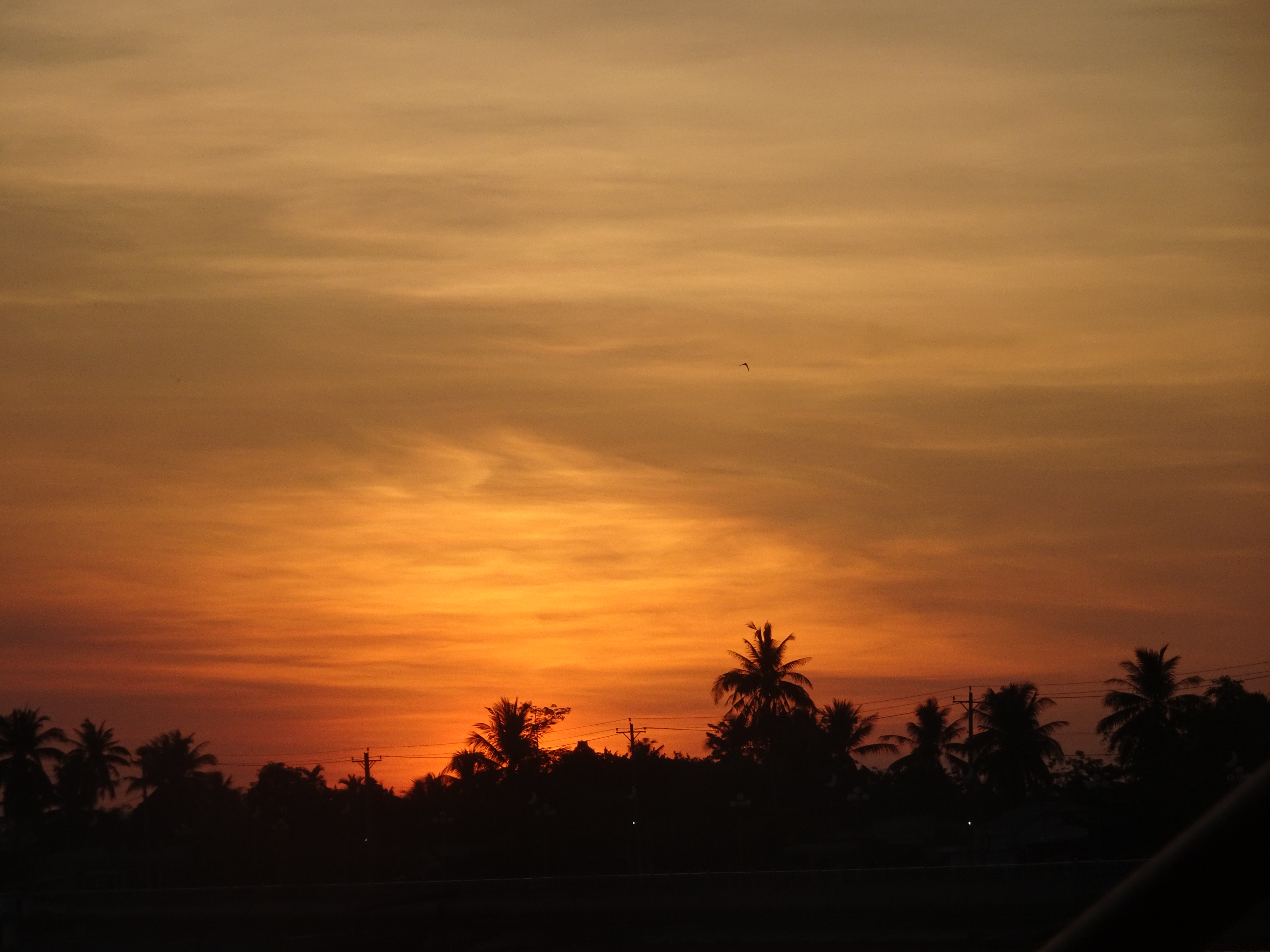 DSC07079
