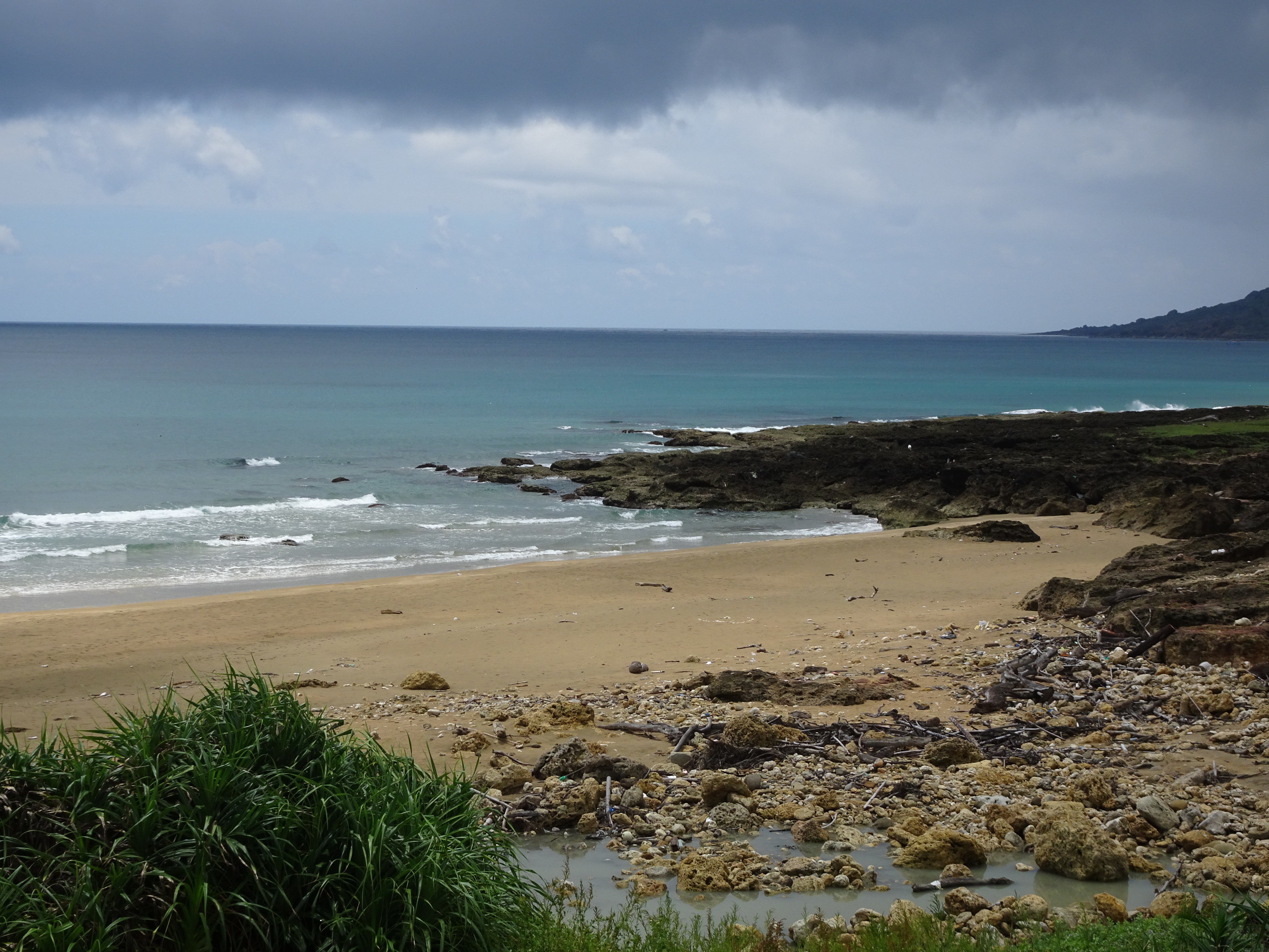 DSC00020