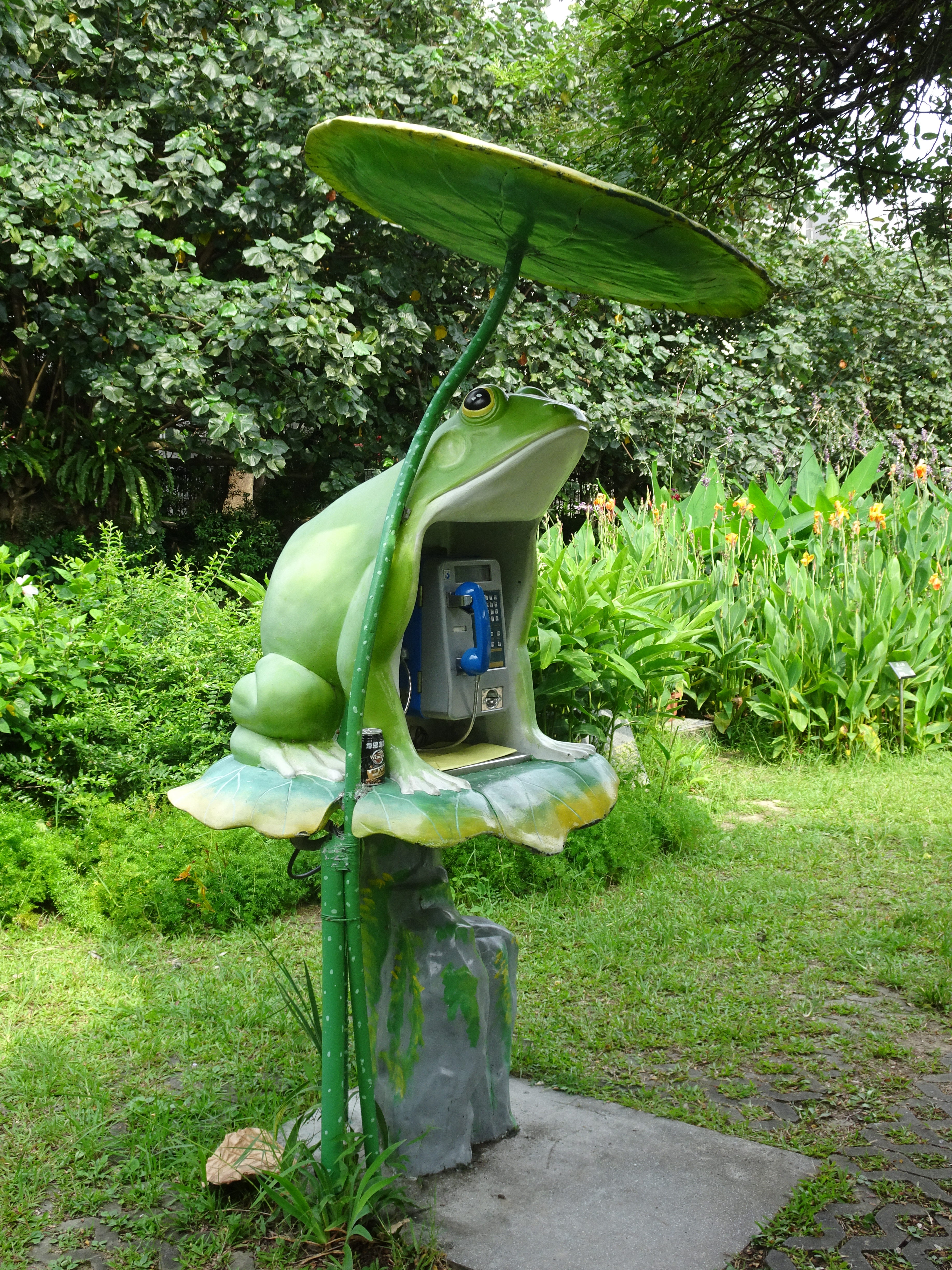 DSC00351