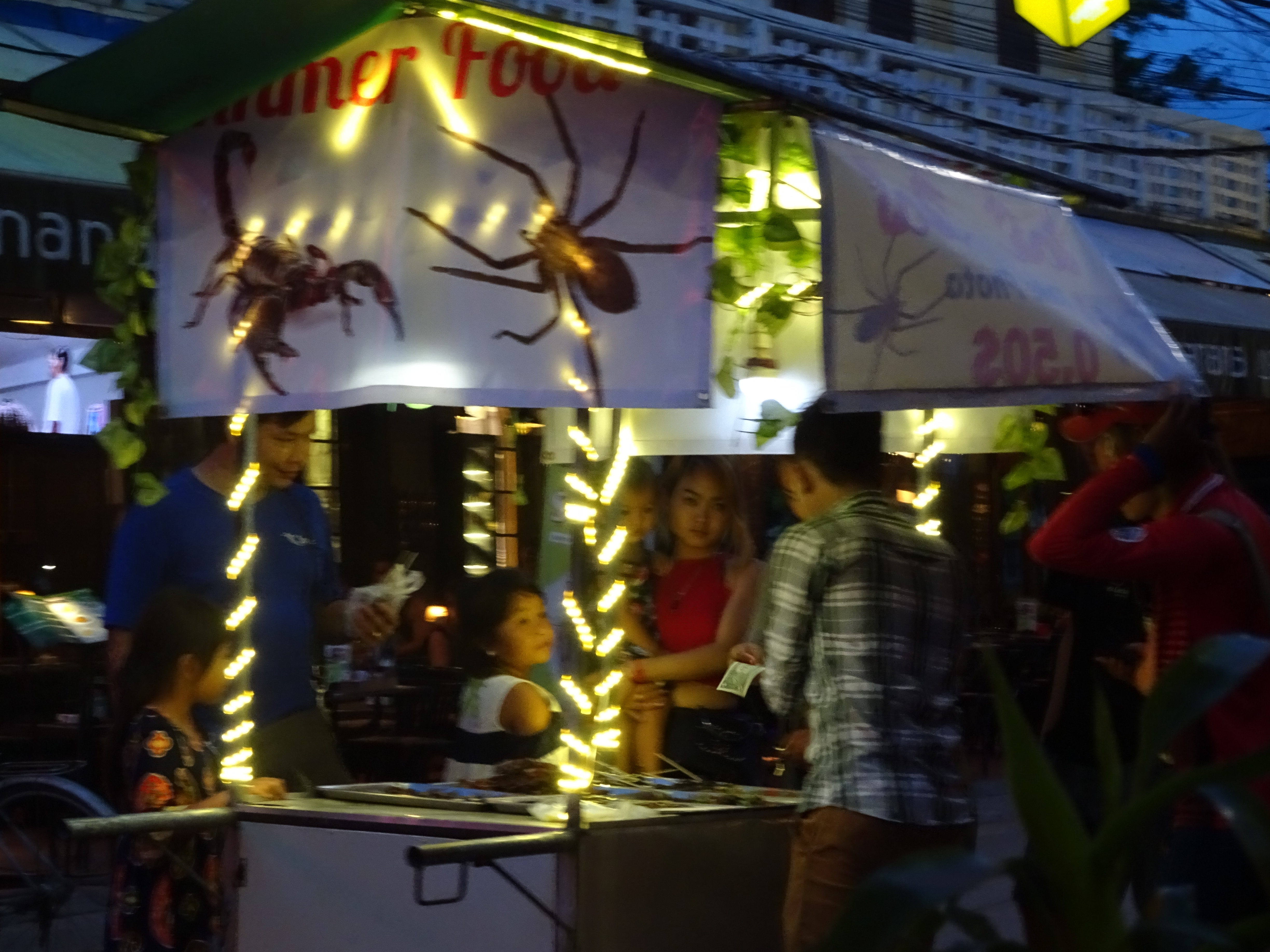 DSC08851