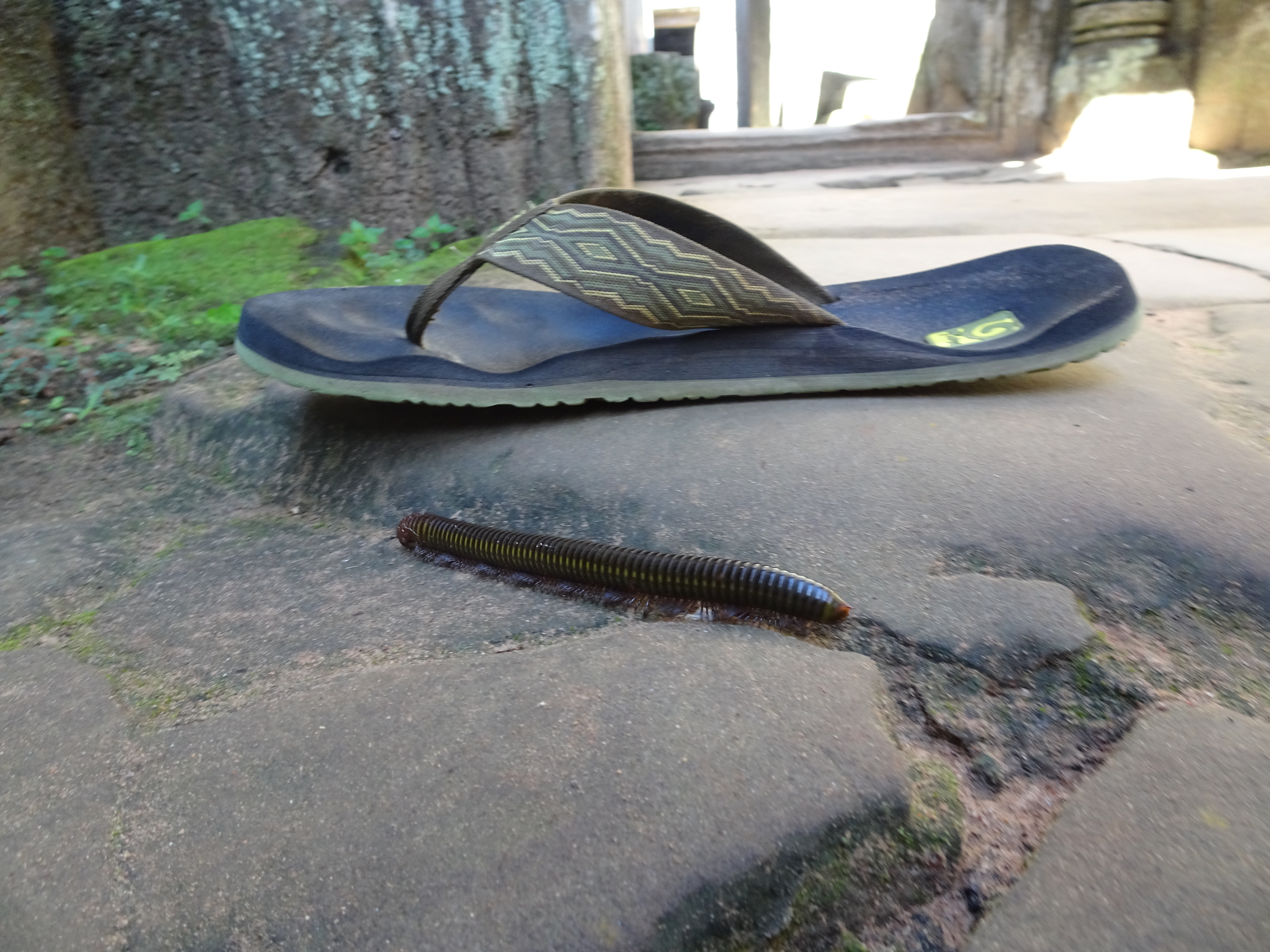 DSC09275