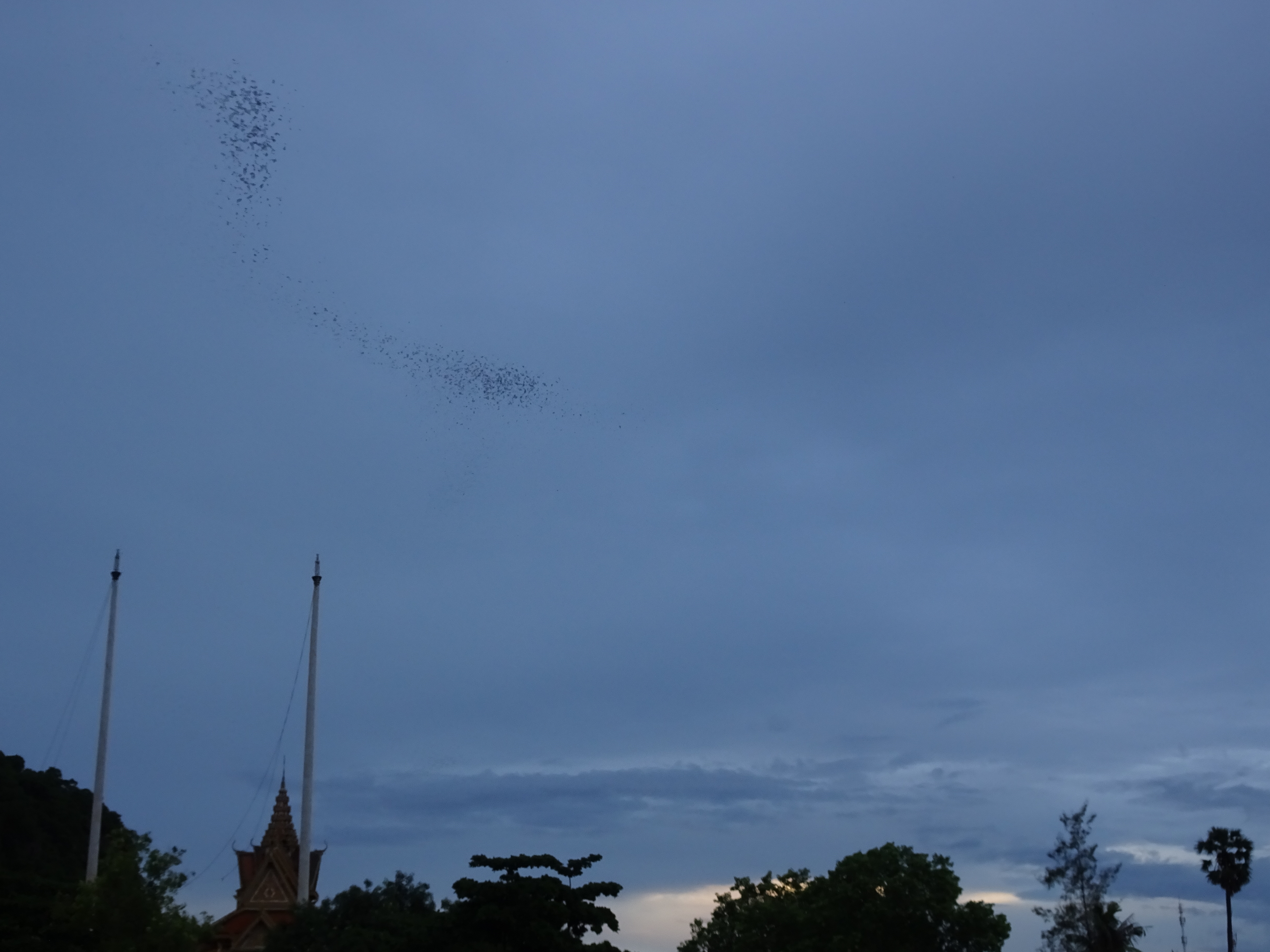DSC09529