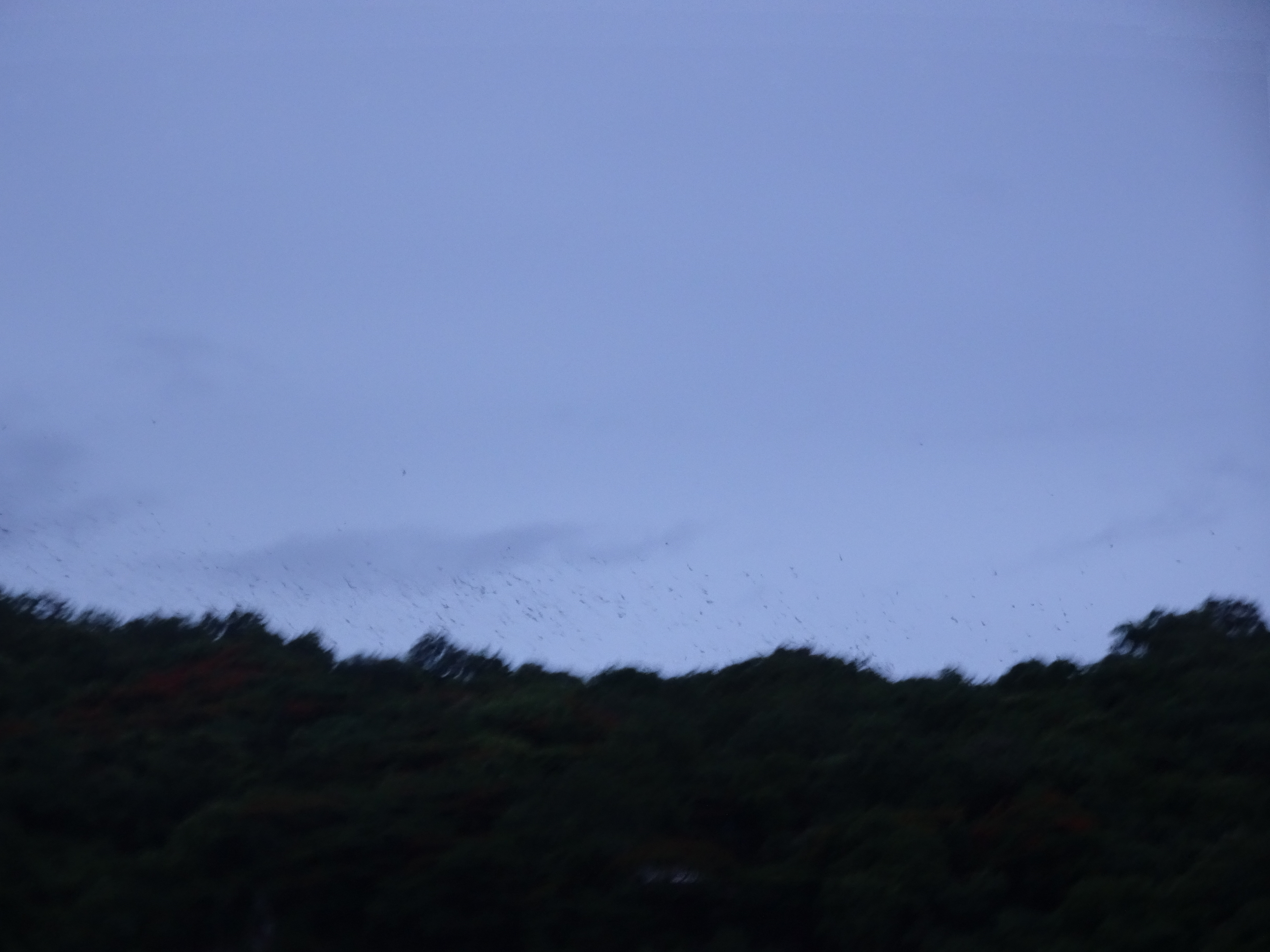DSC09537