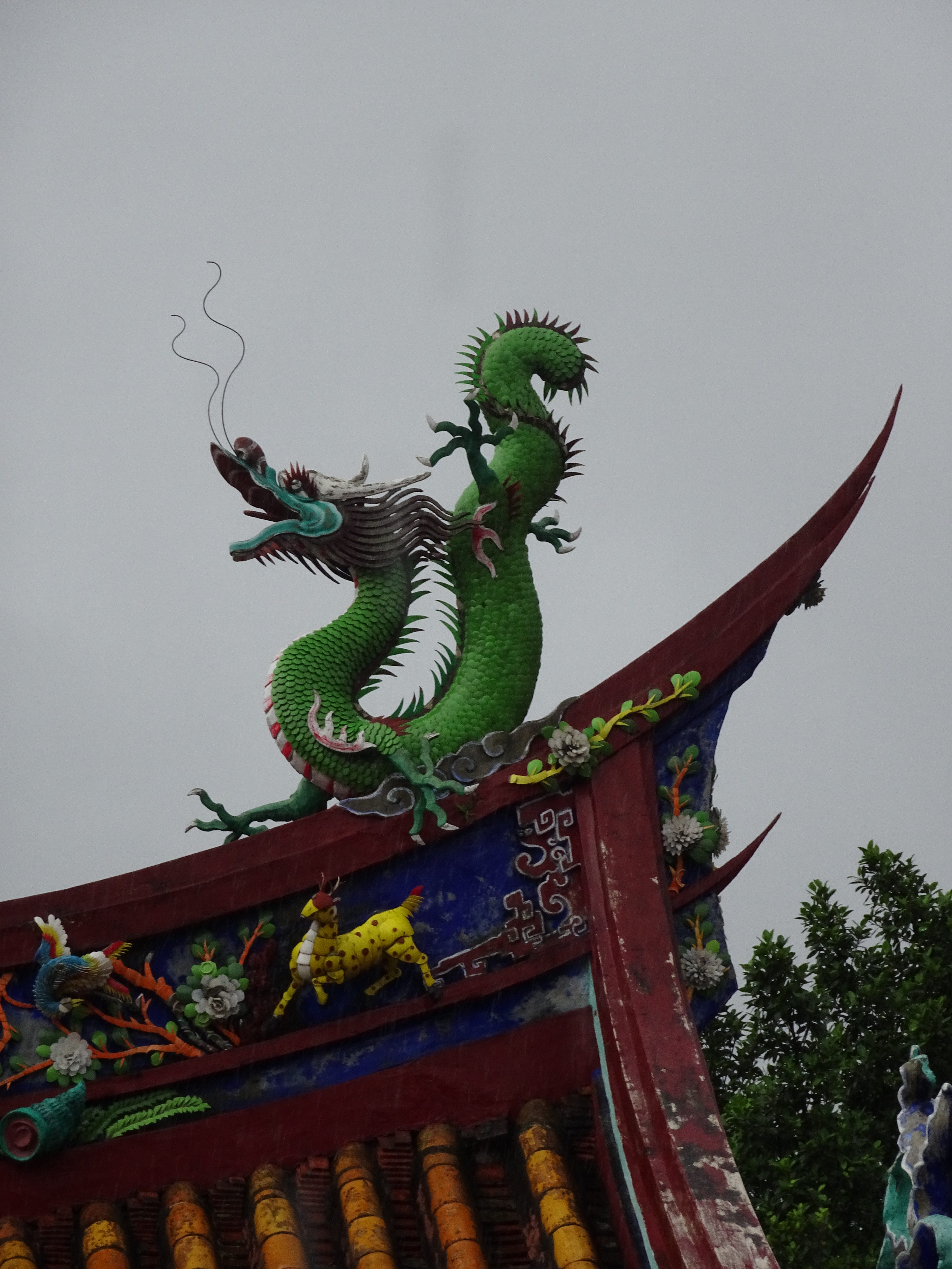 DSC09767