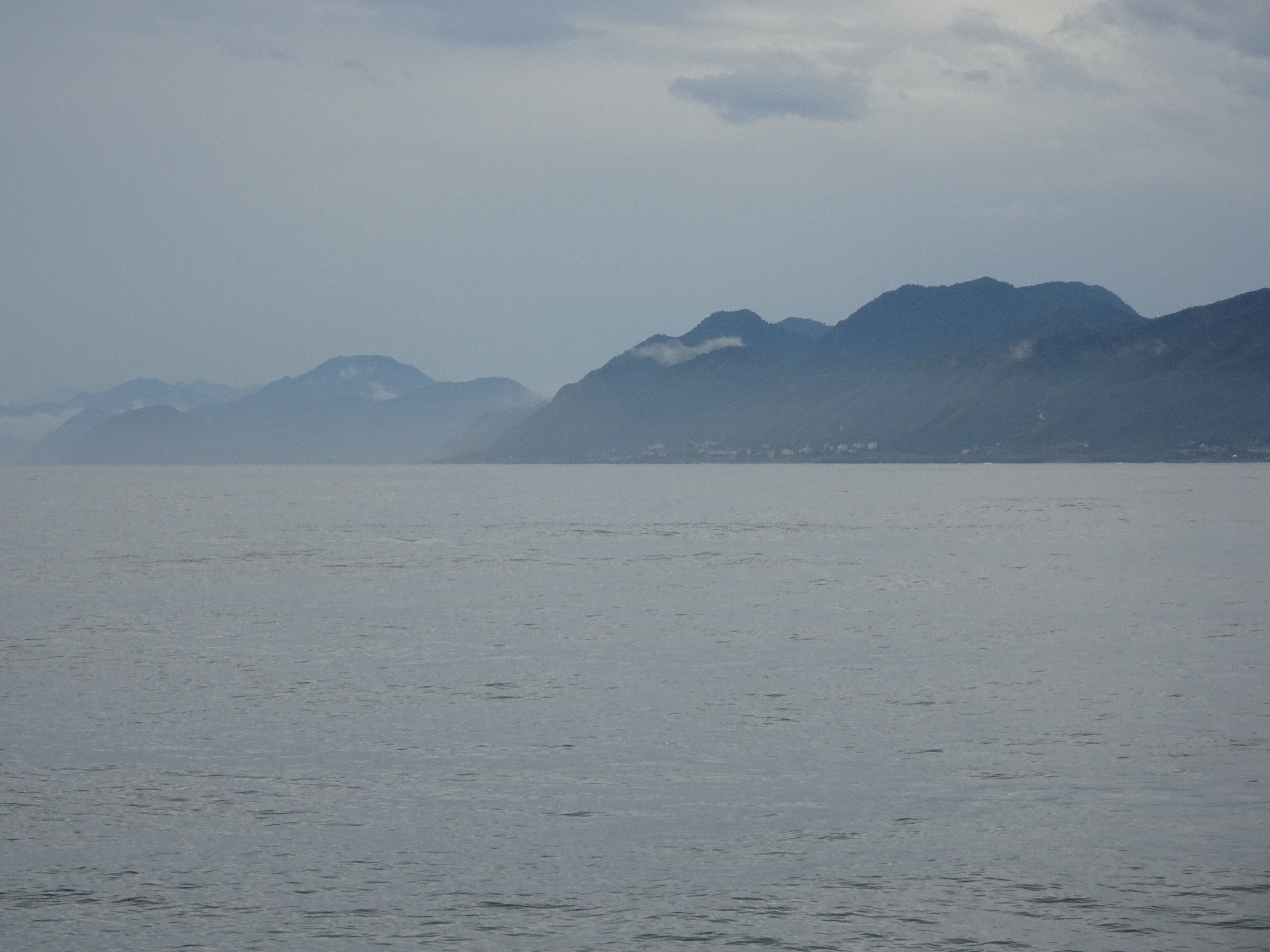 DSC09954