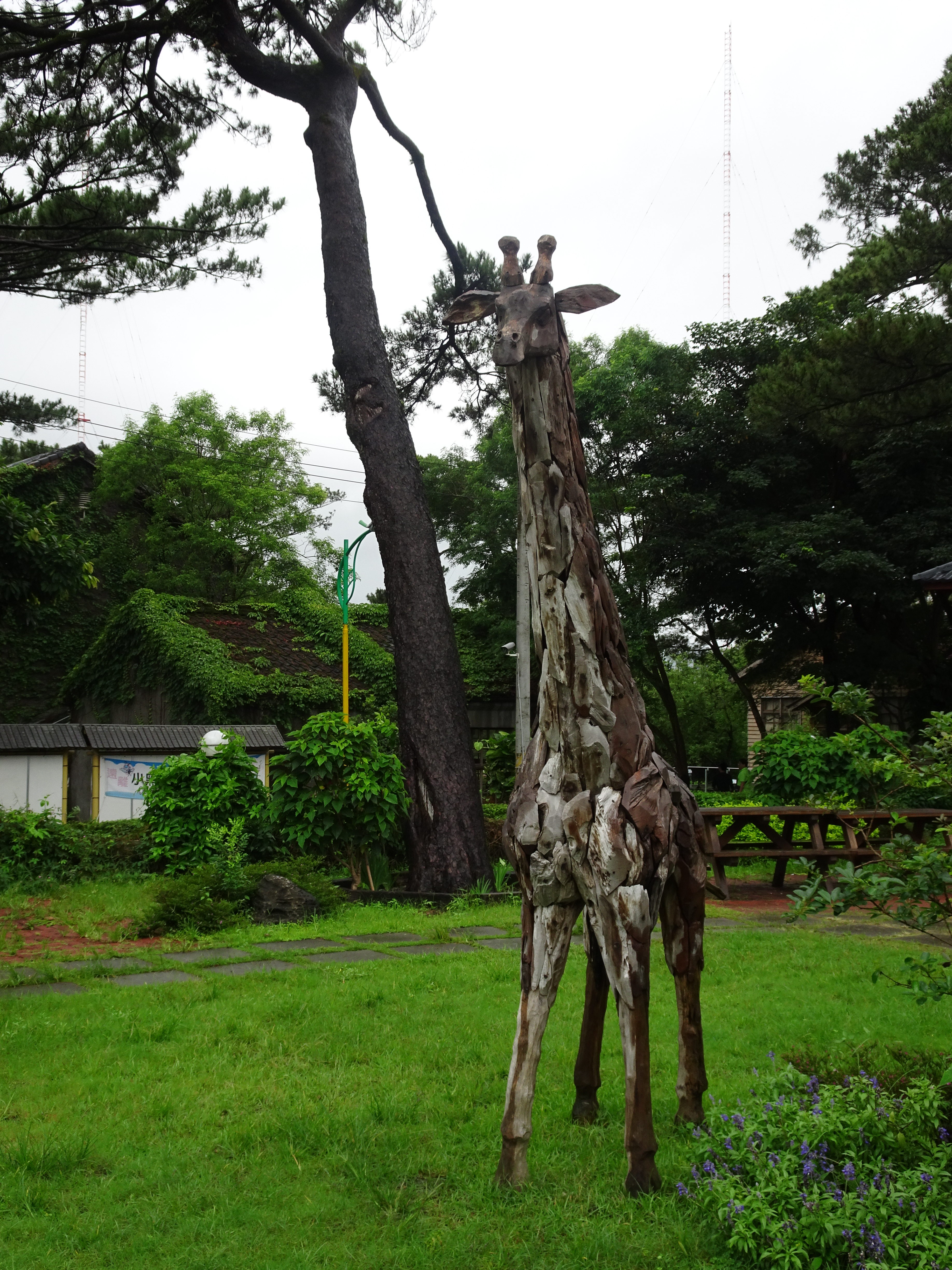DSC09969