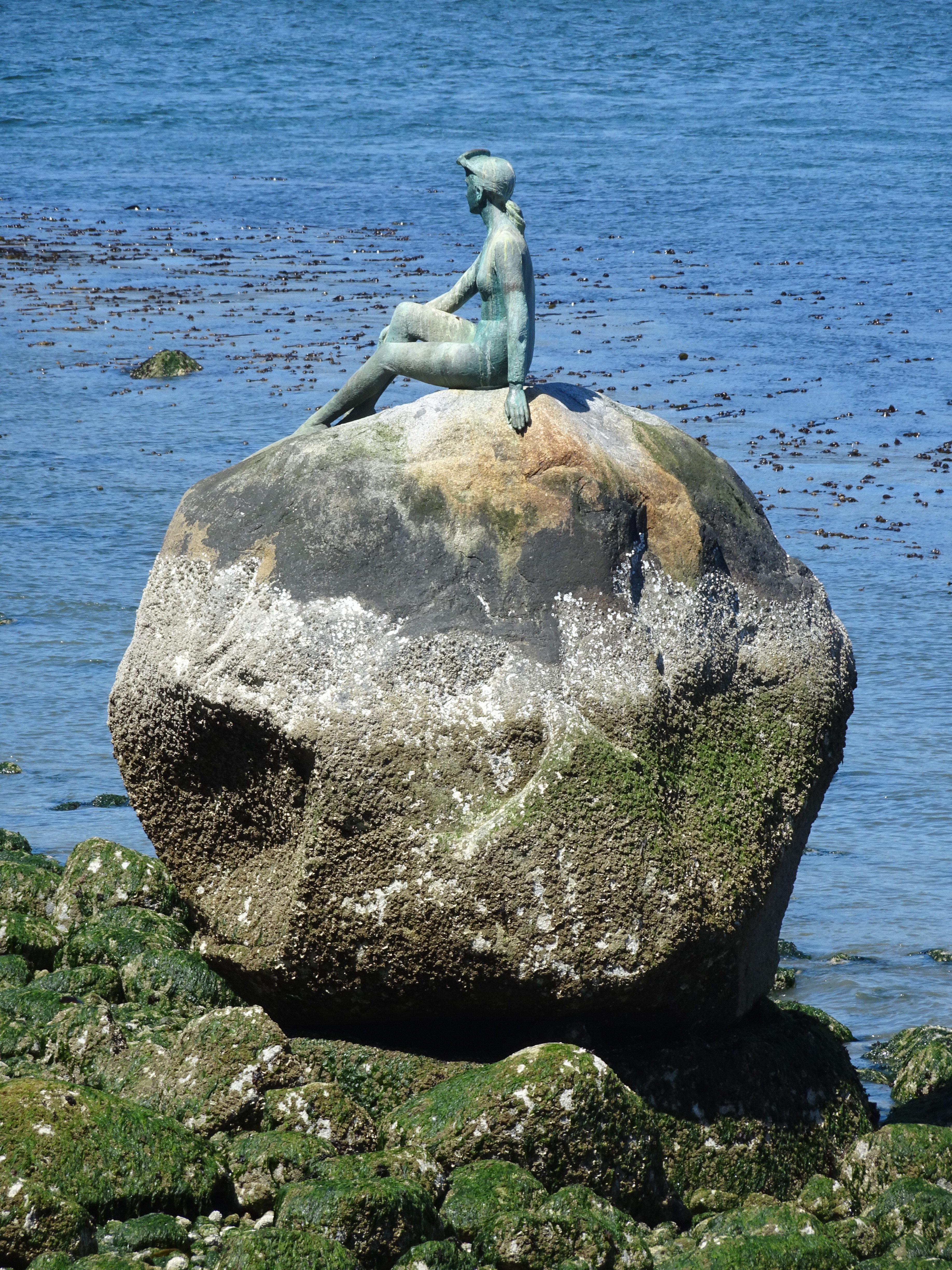 DSC00619