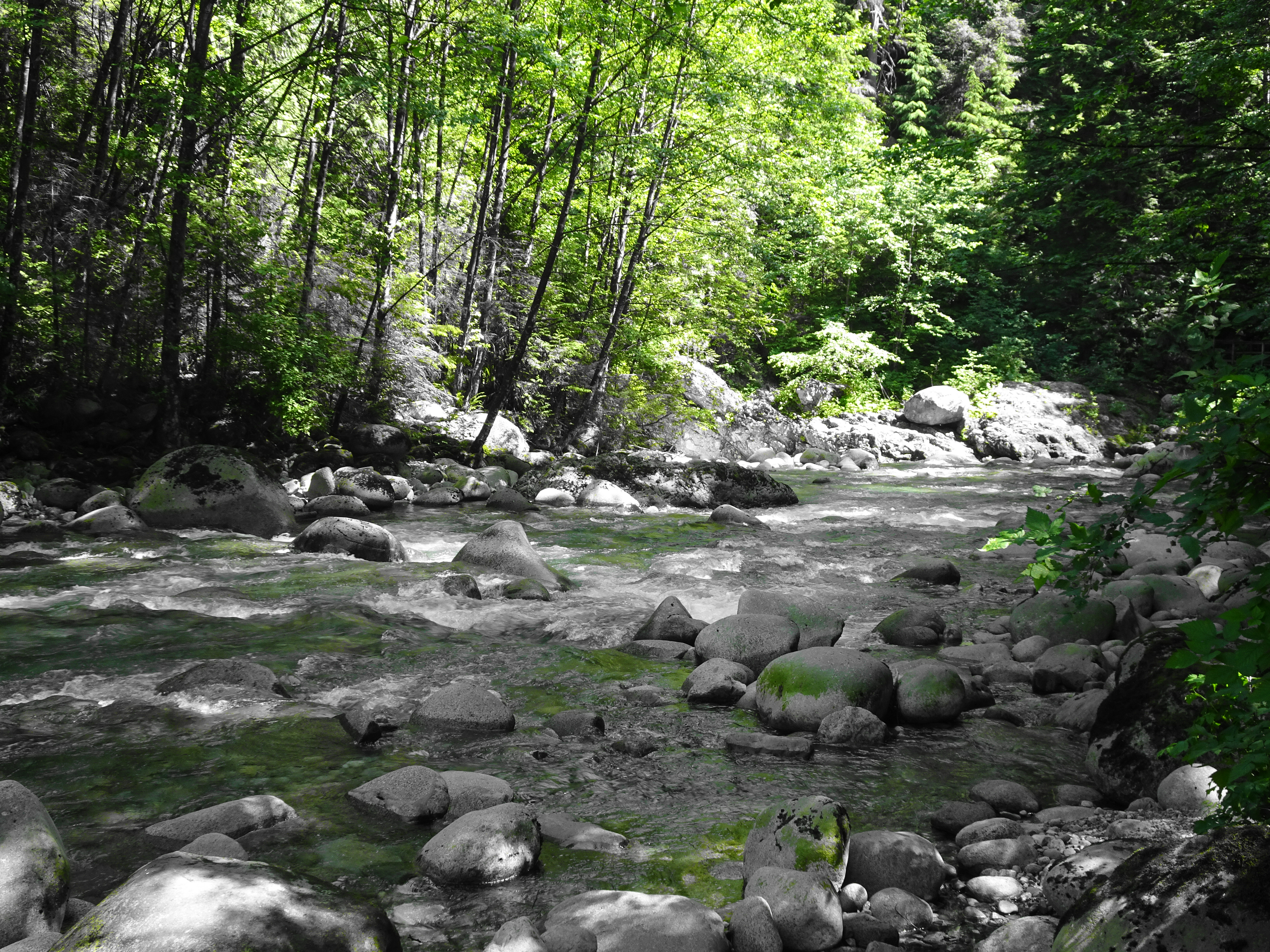 DSC00806