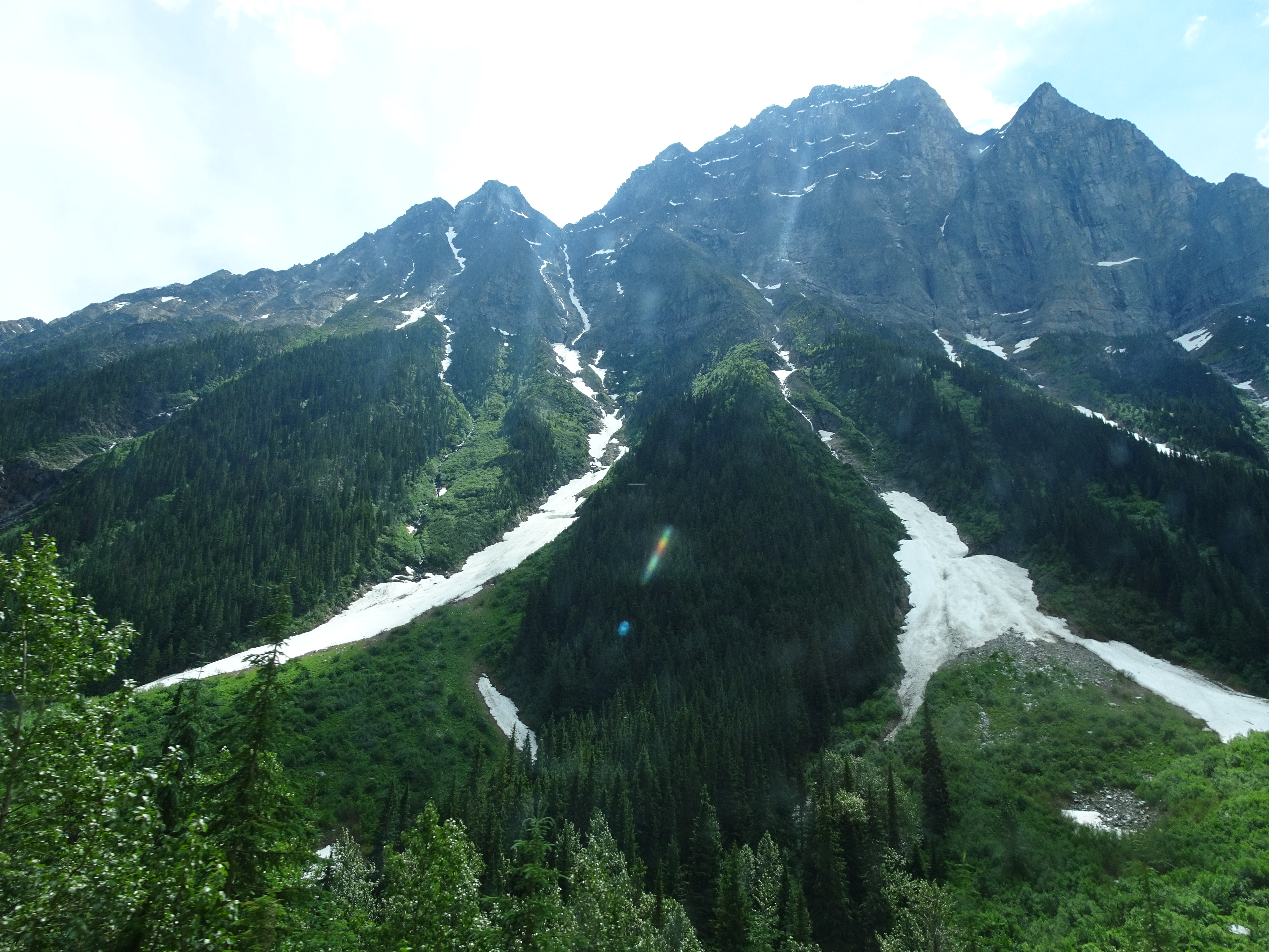 DSC00957