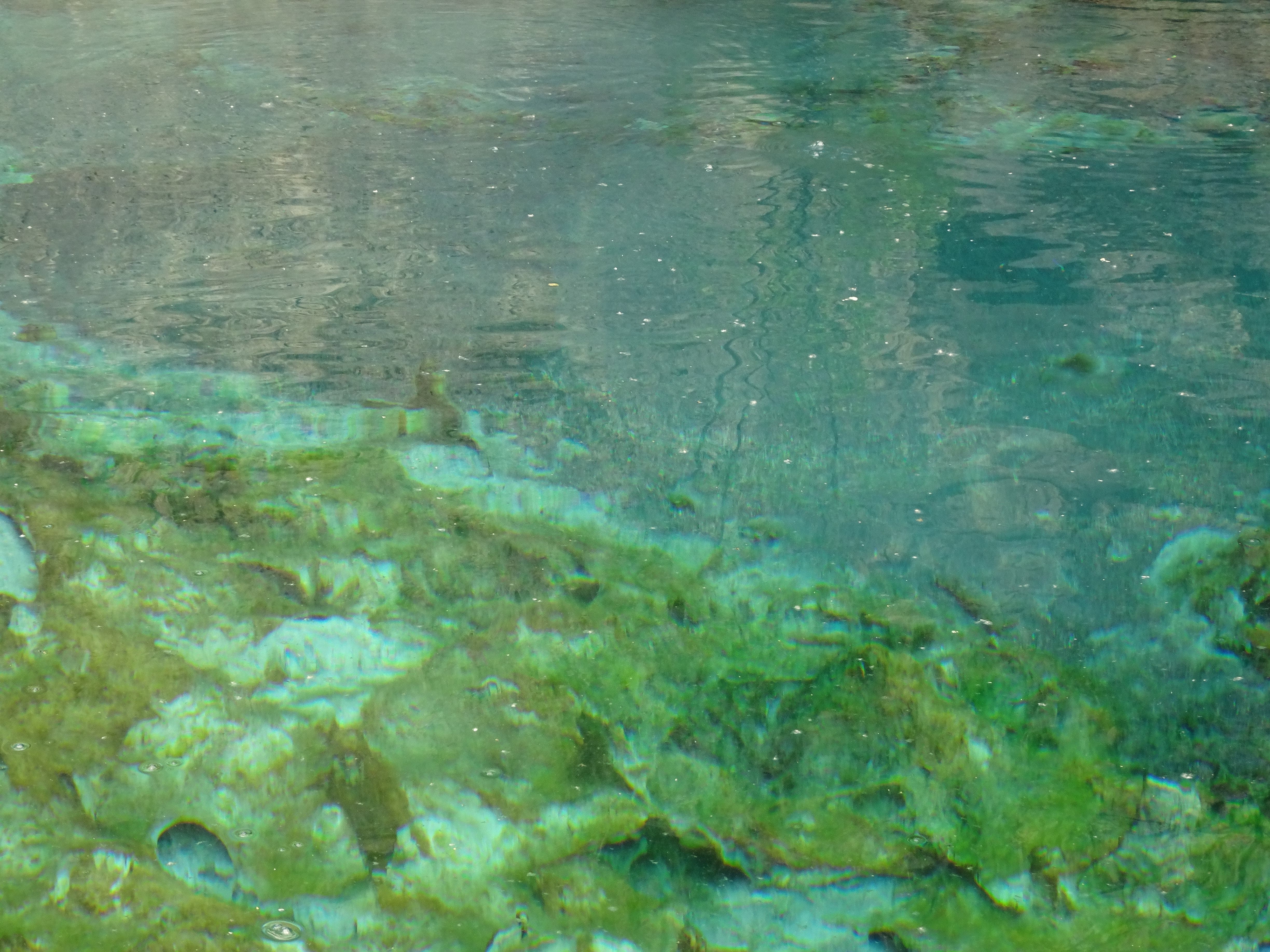 DSC01162