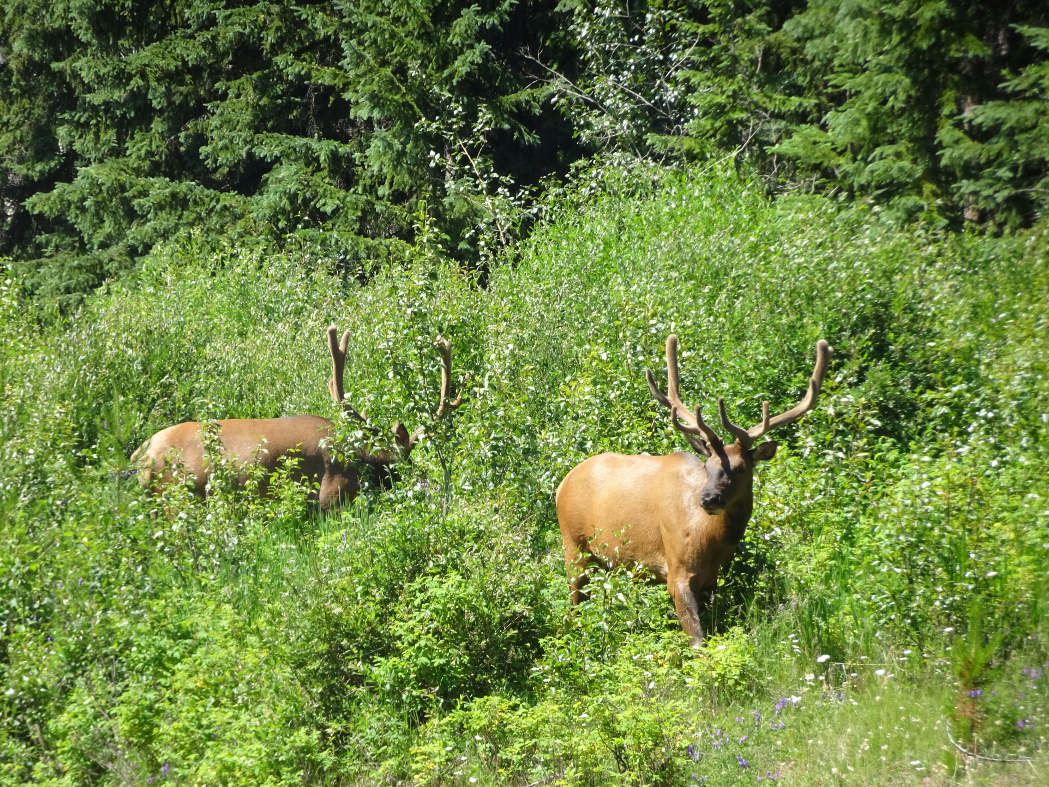 DSC01580-3672x2754