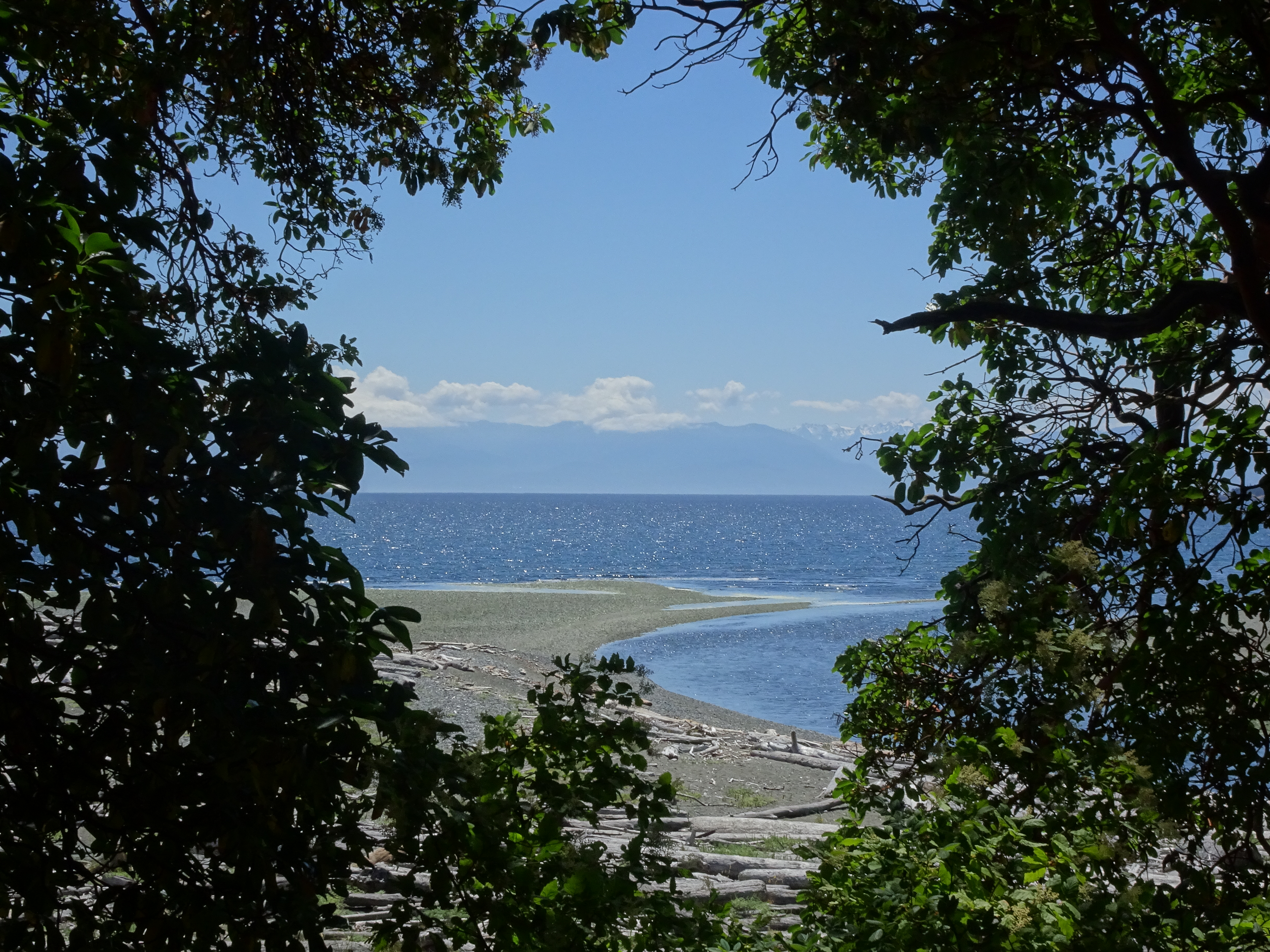 DSC02075