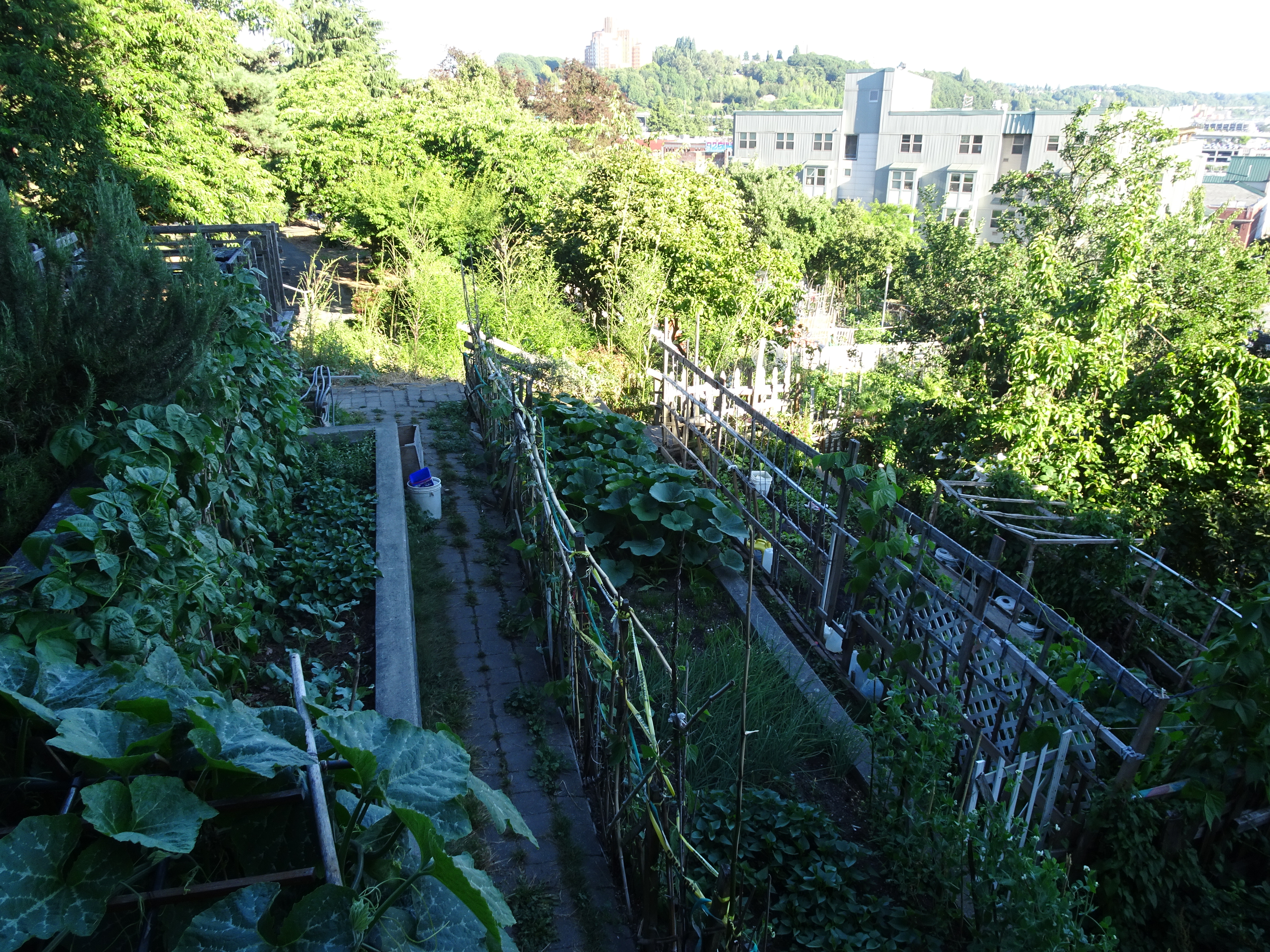 DSC02568