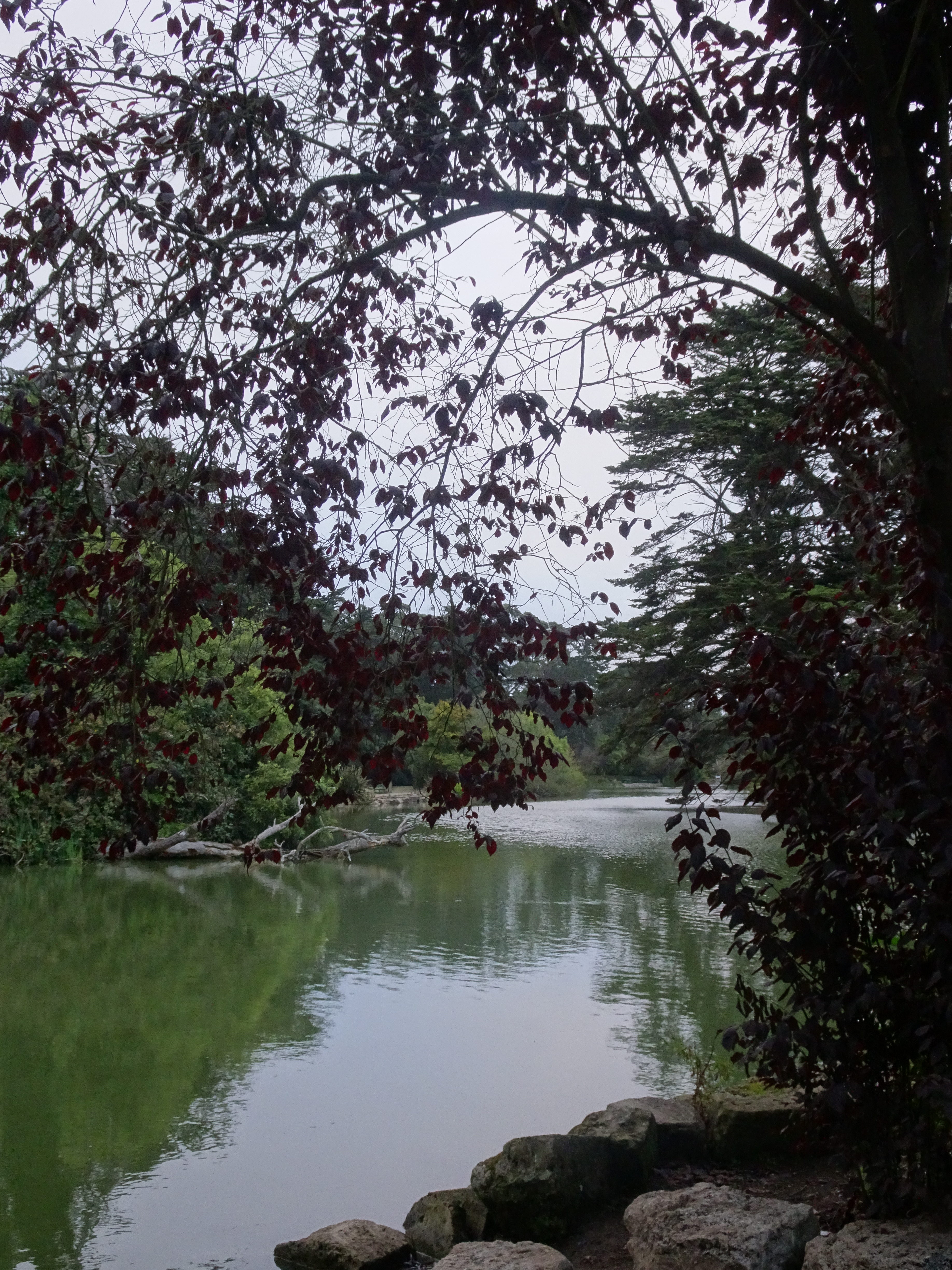 DSC03313
