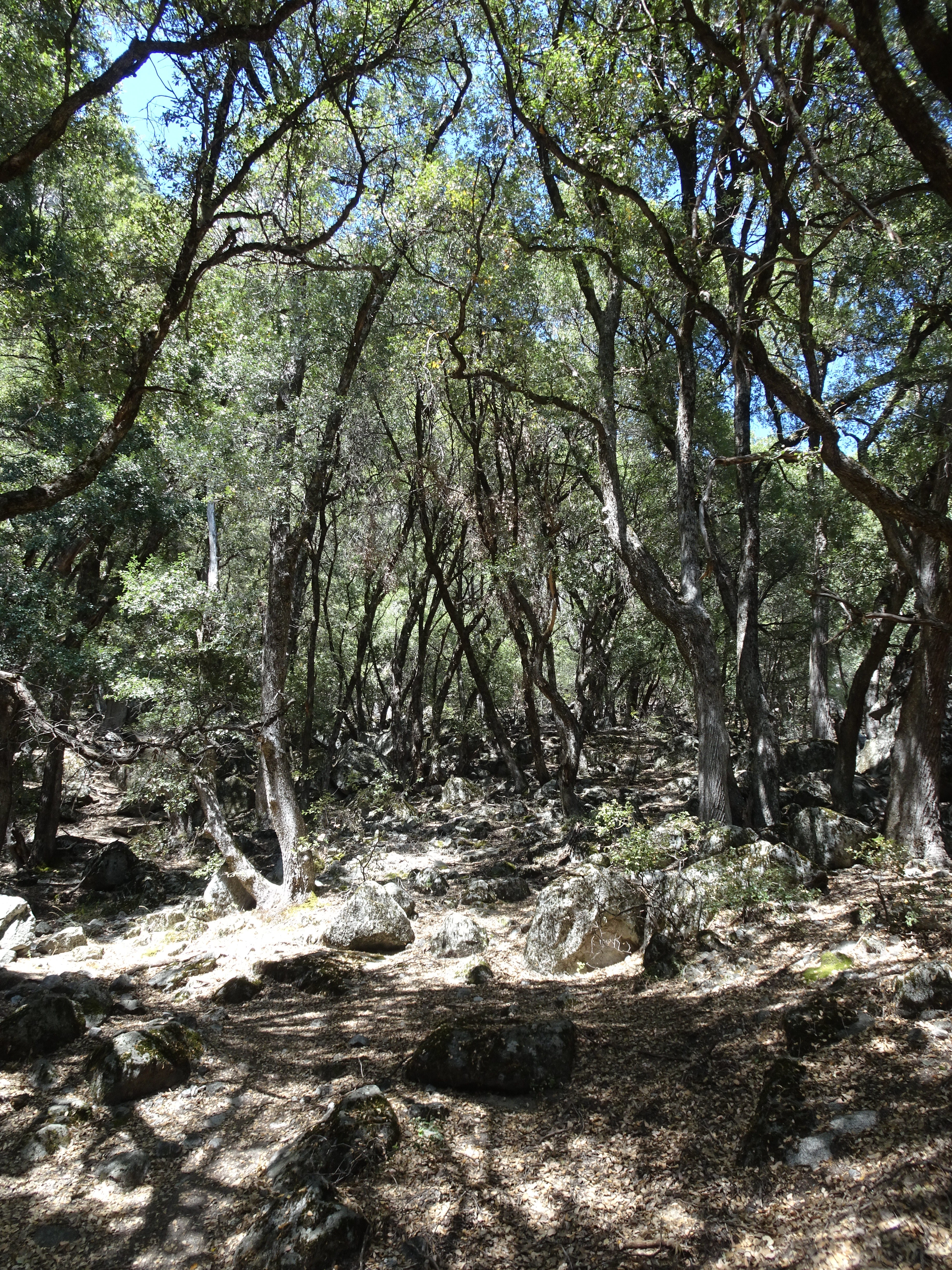 DSC03381
