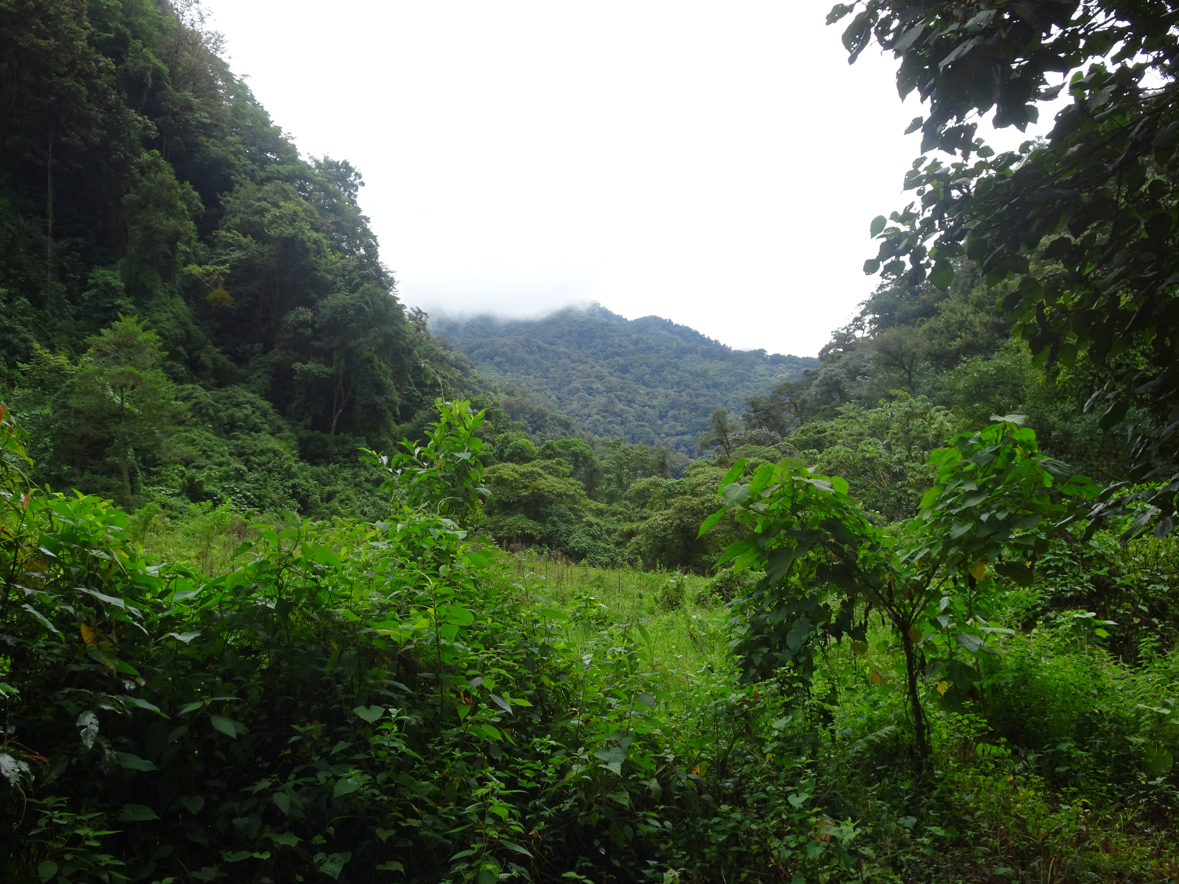 DSC05075
