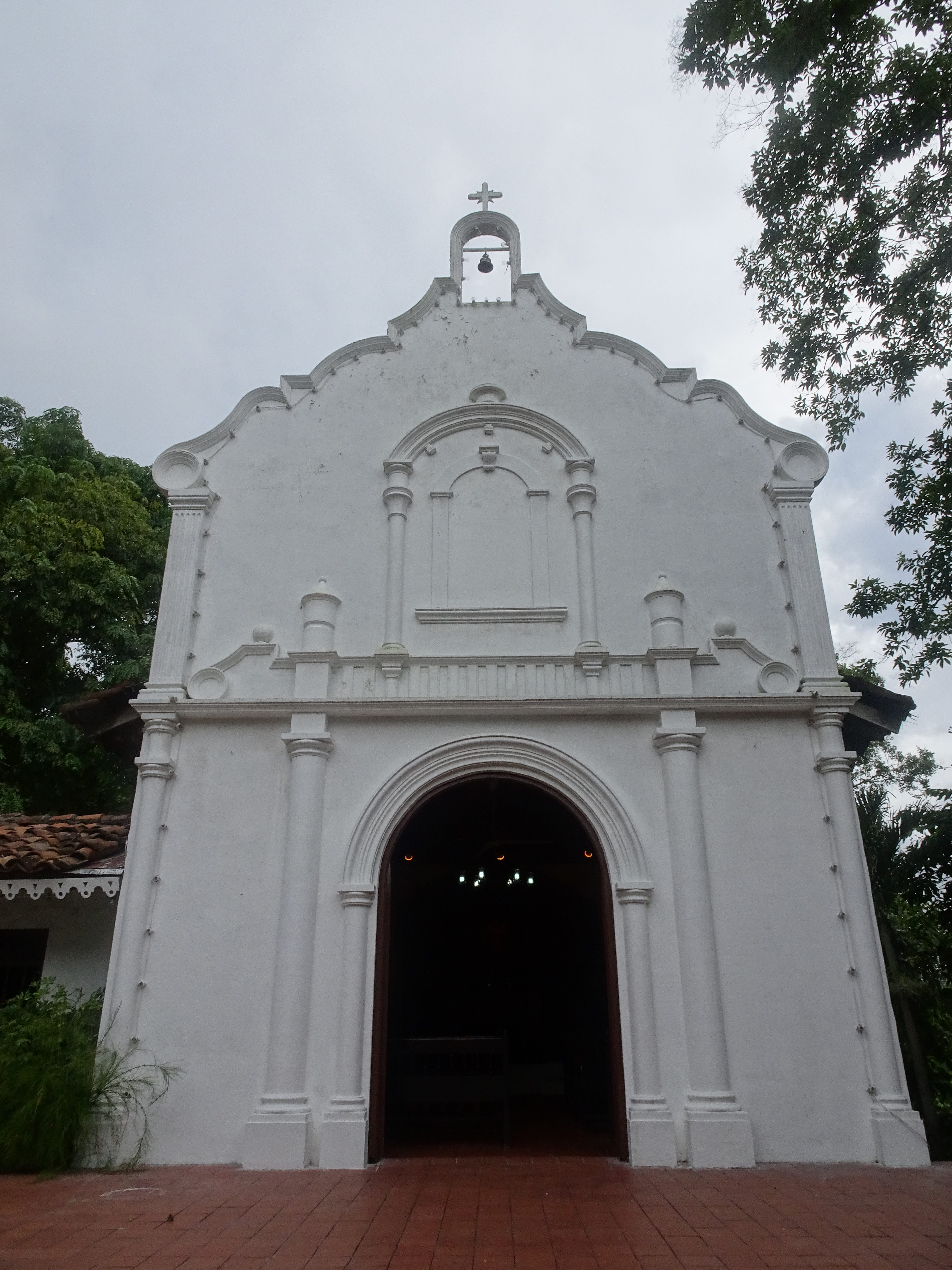 DSC05445