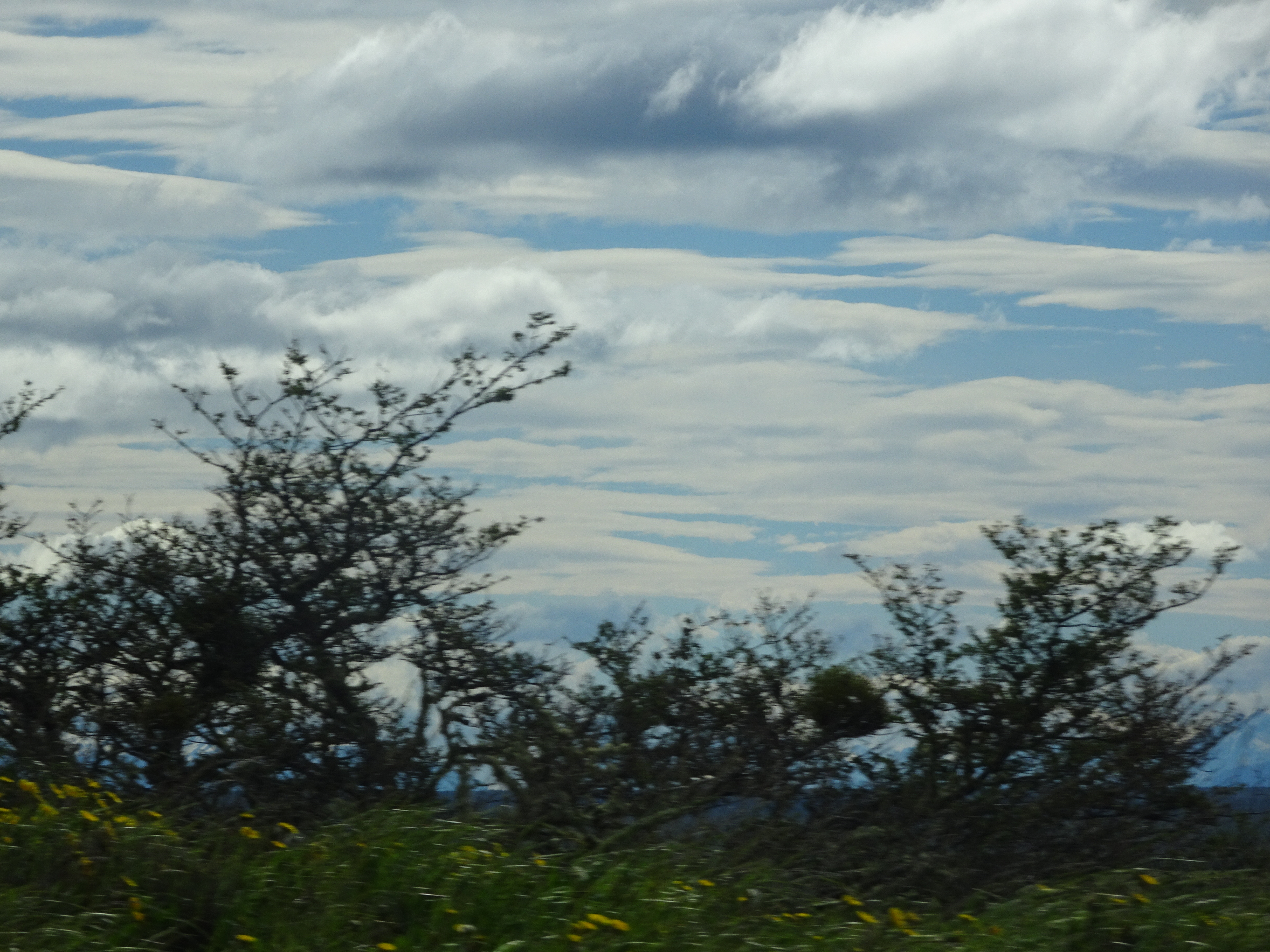 DSC00099
