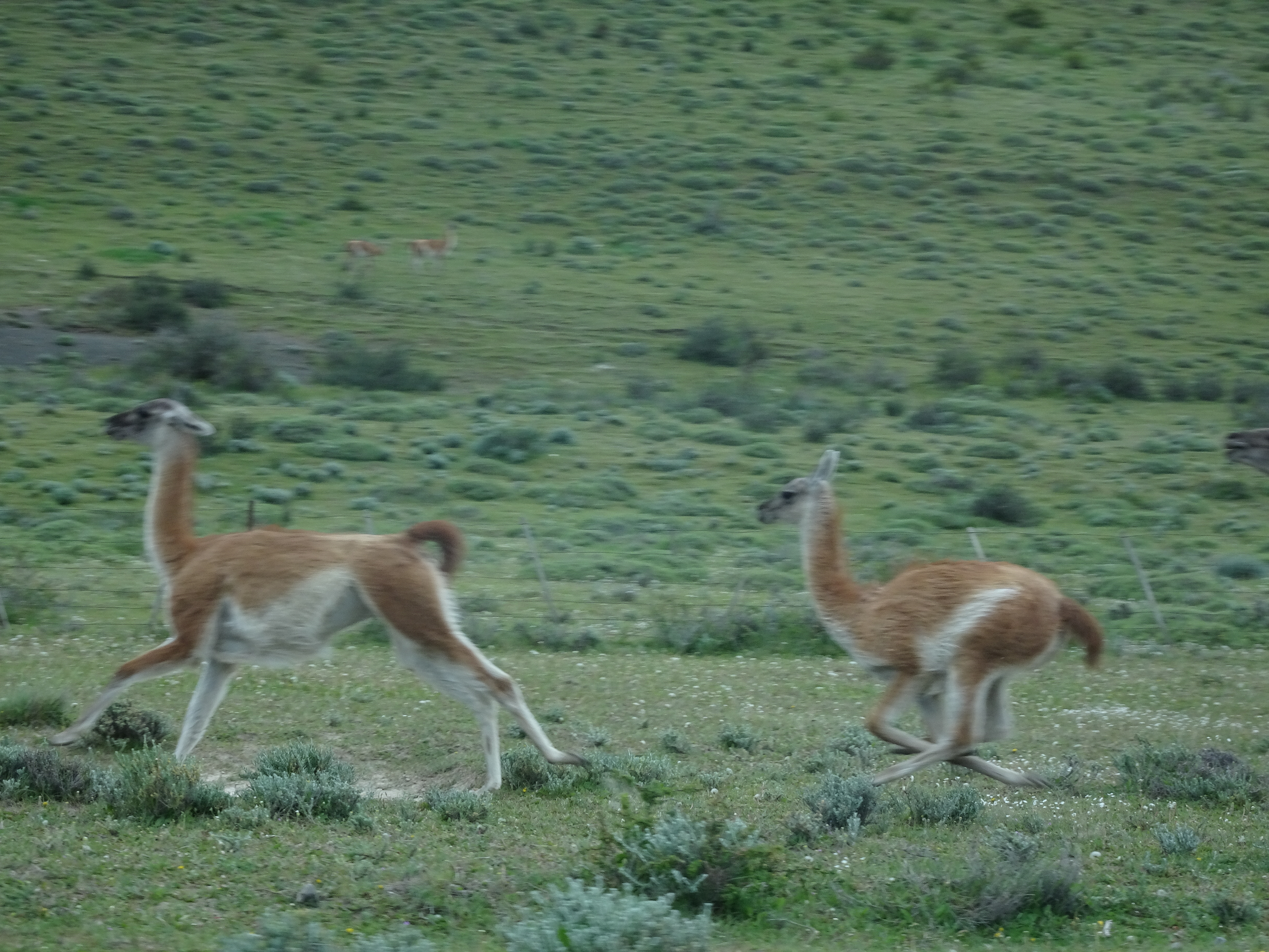 DSC00155
