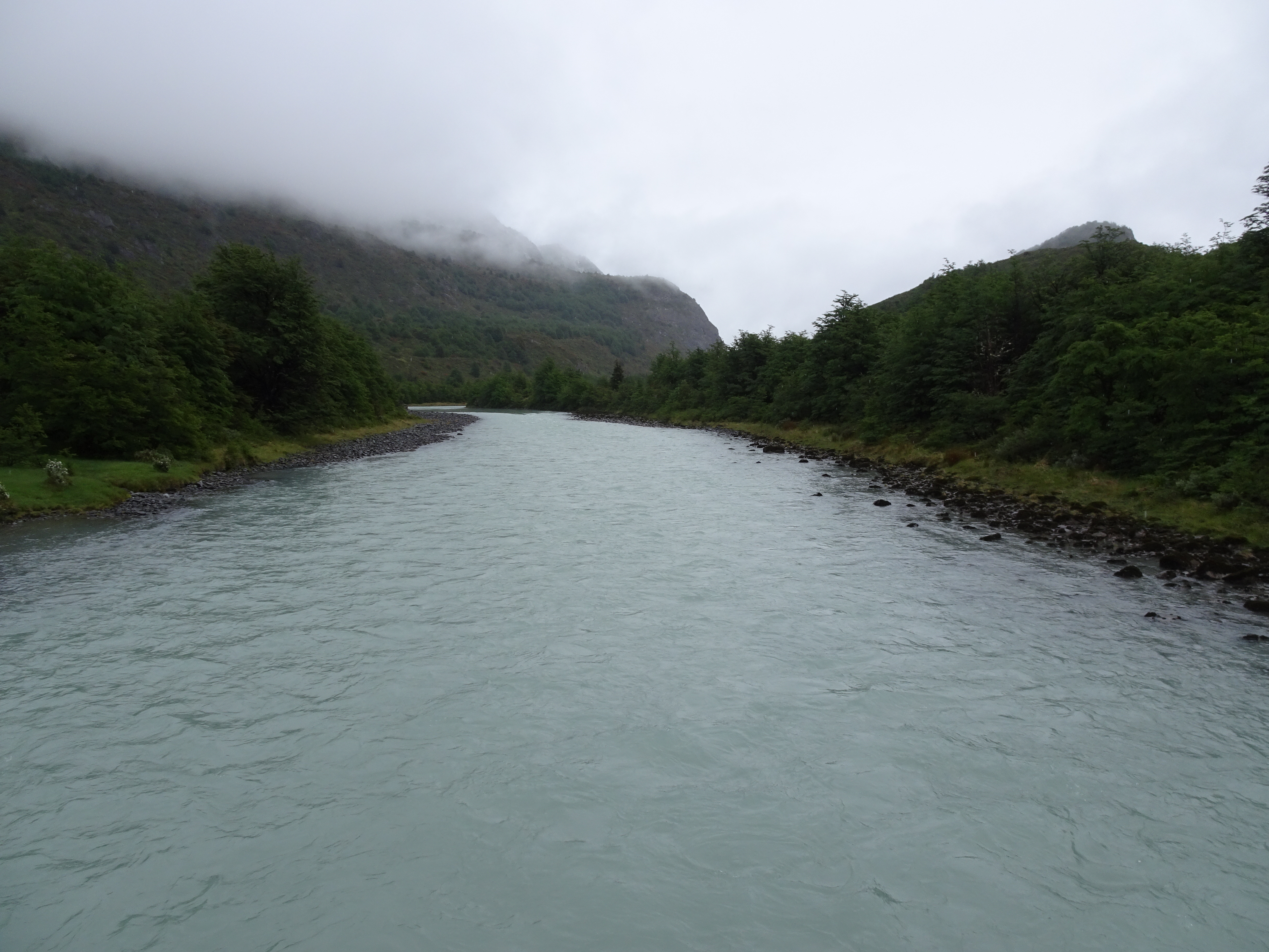 DSC00550