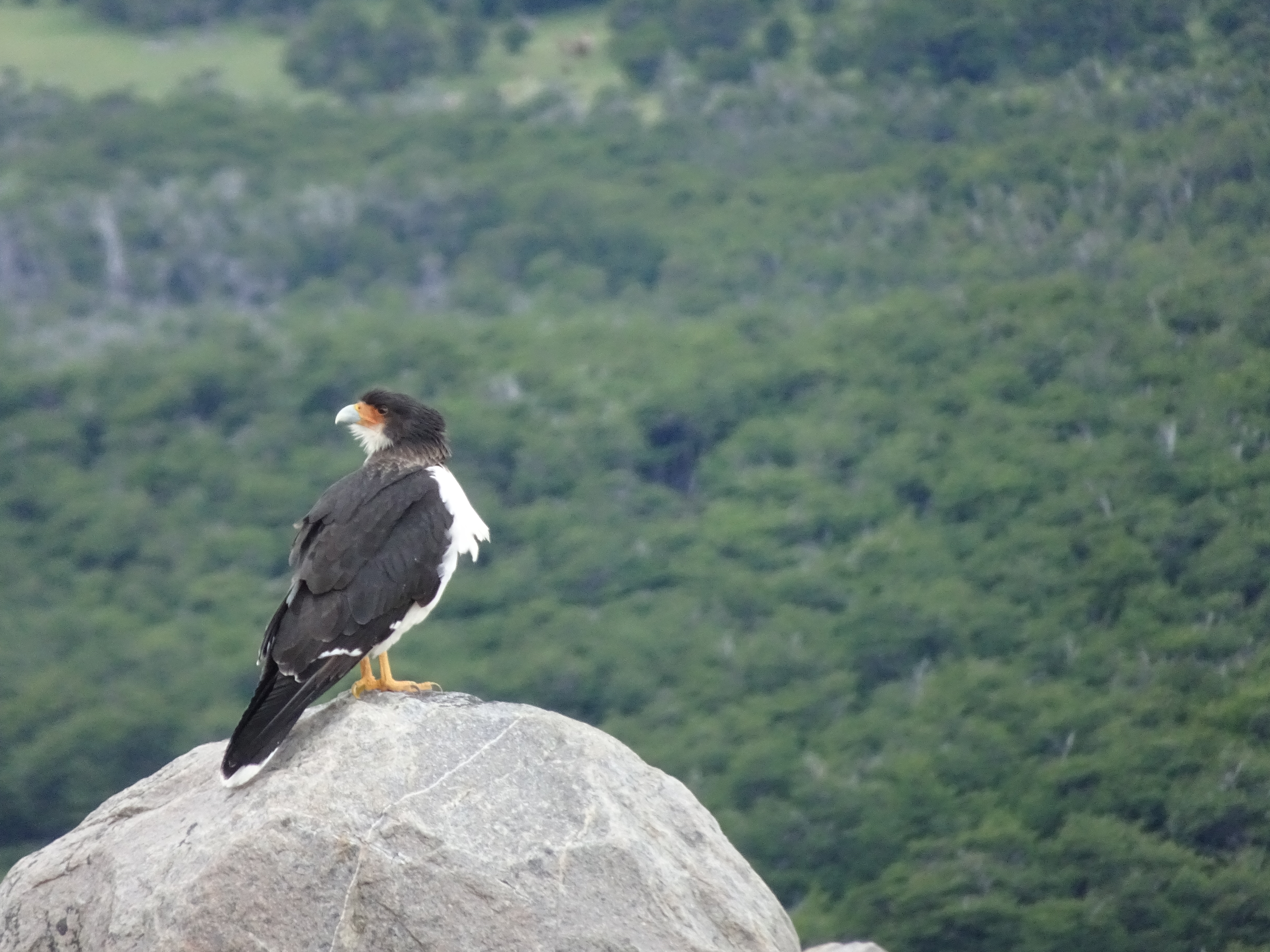DSC01201