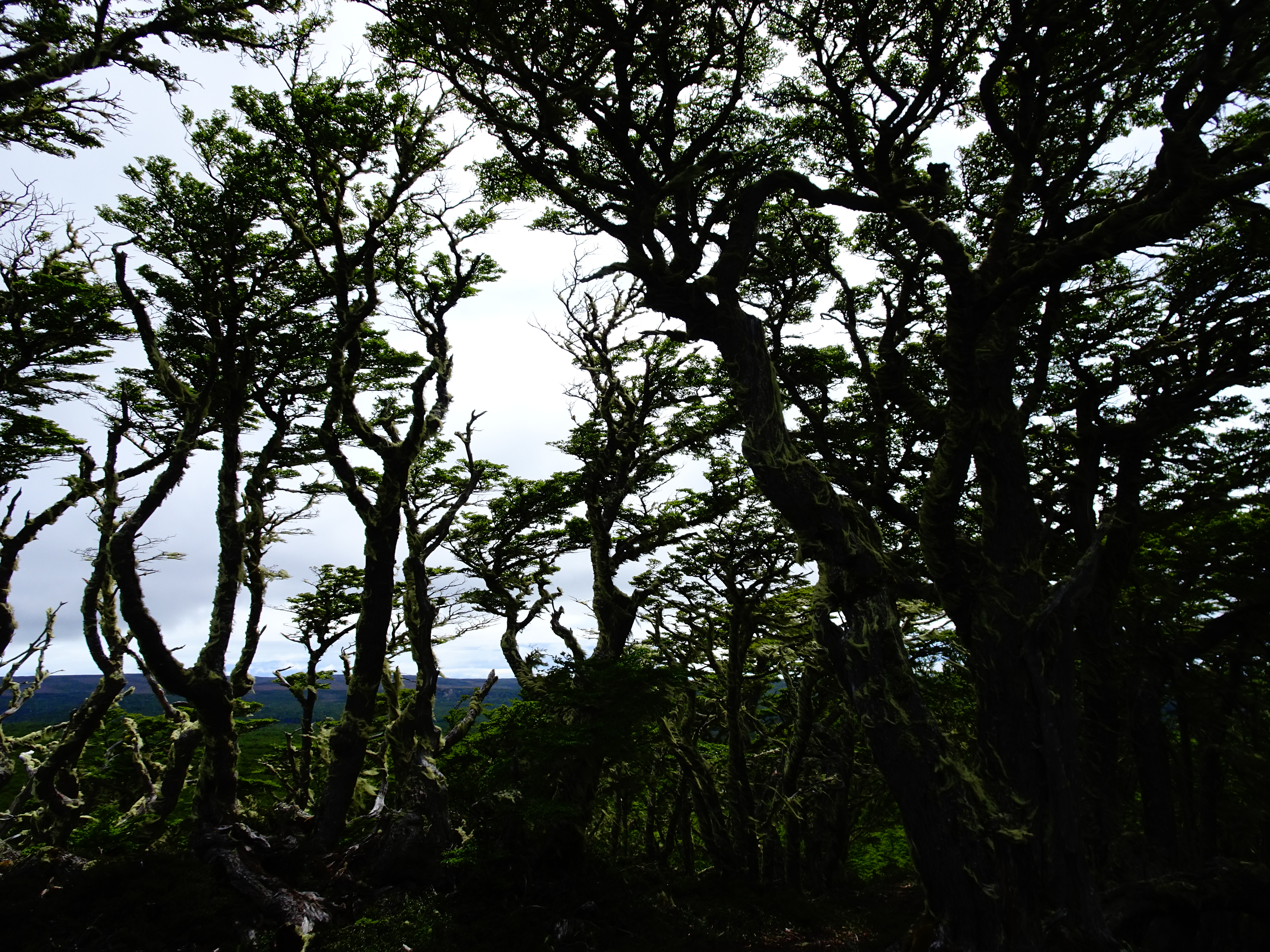 DSC01787