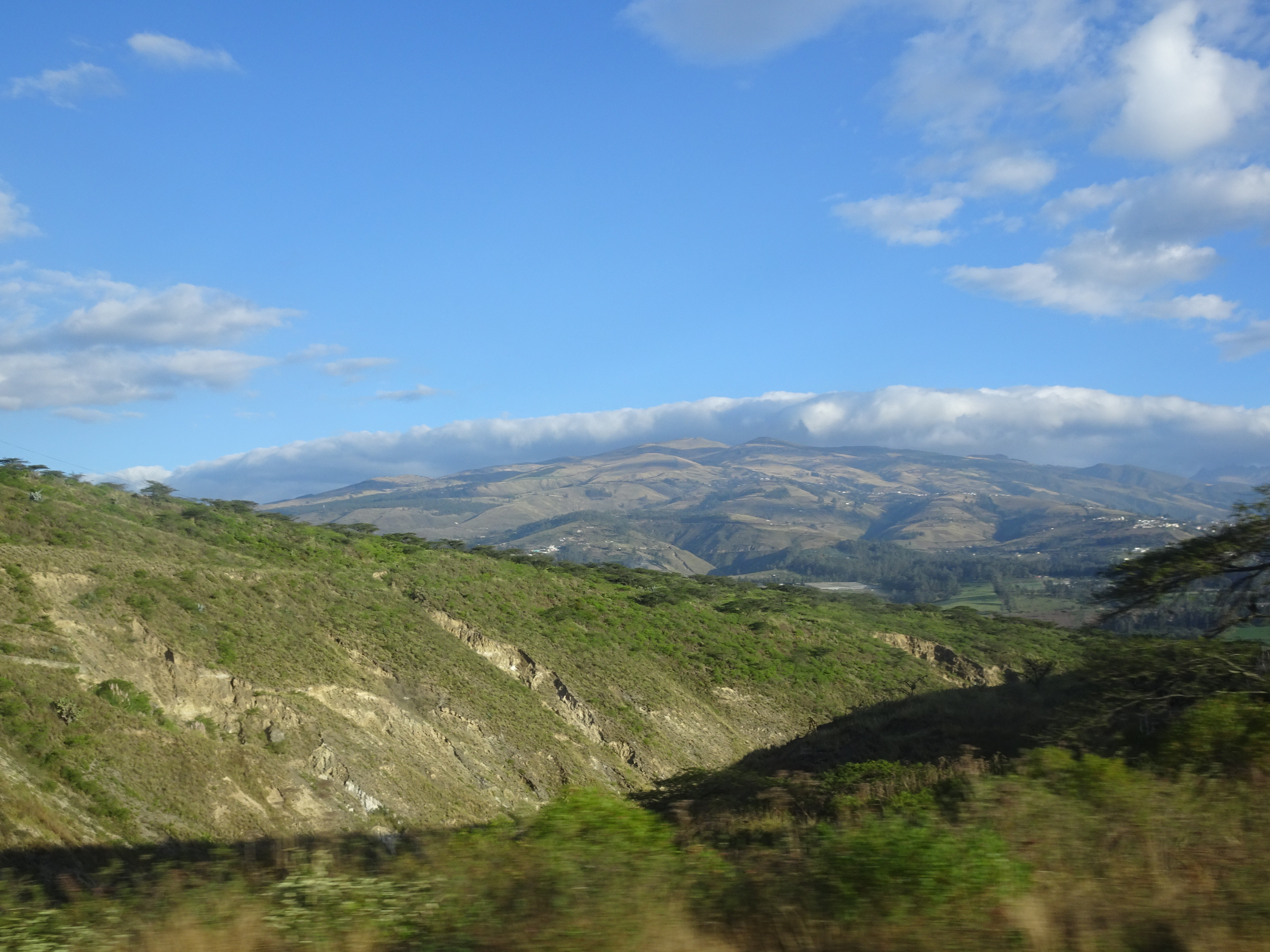 DSC06916