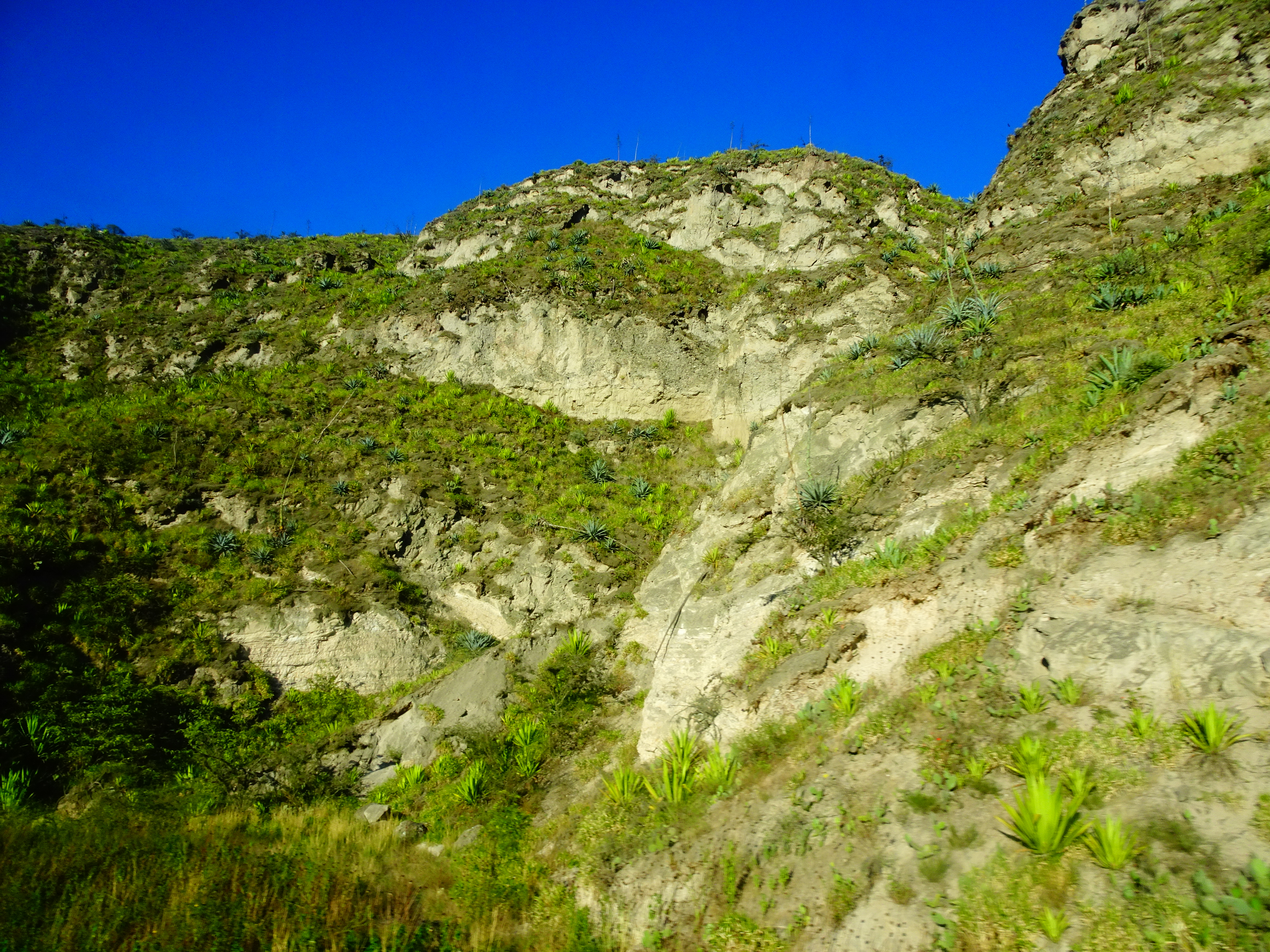 DSC06930