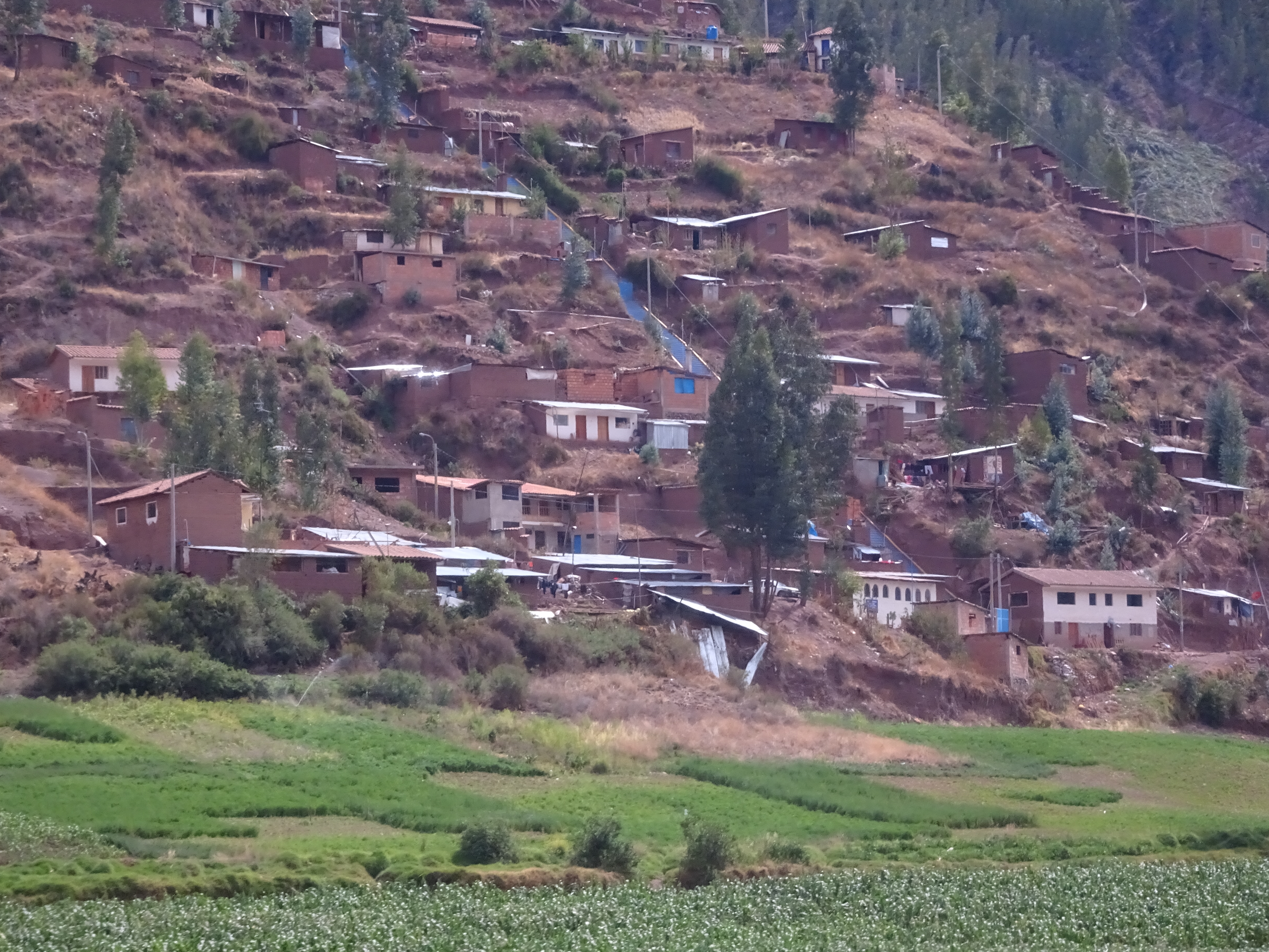 DSC08324