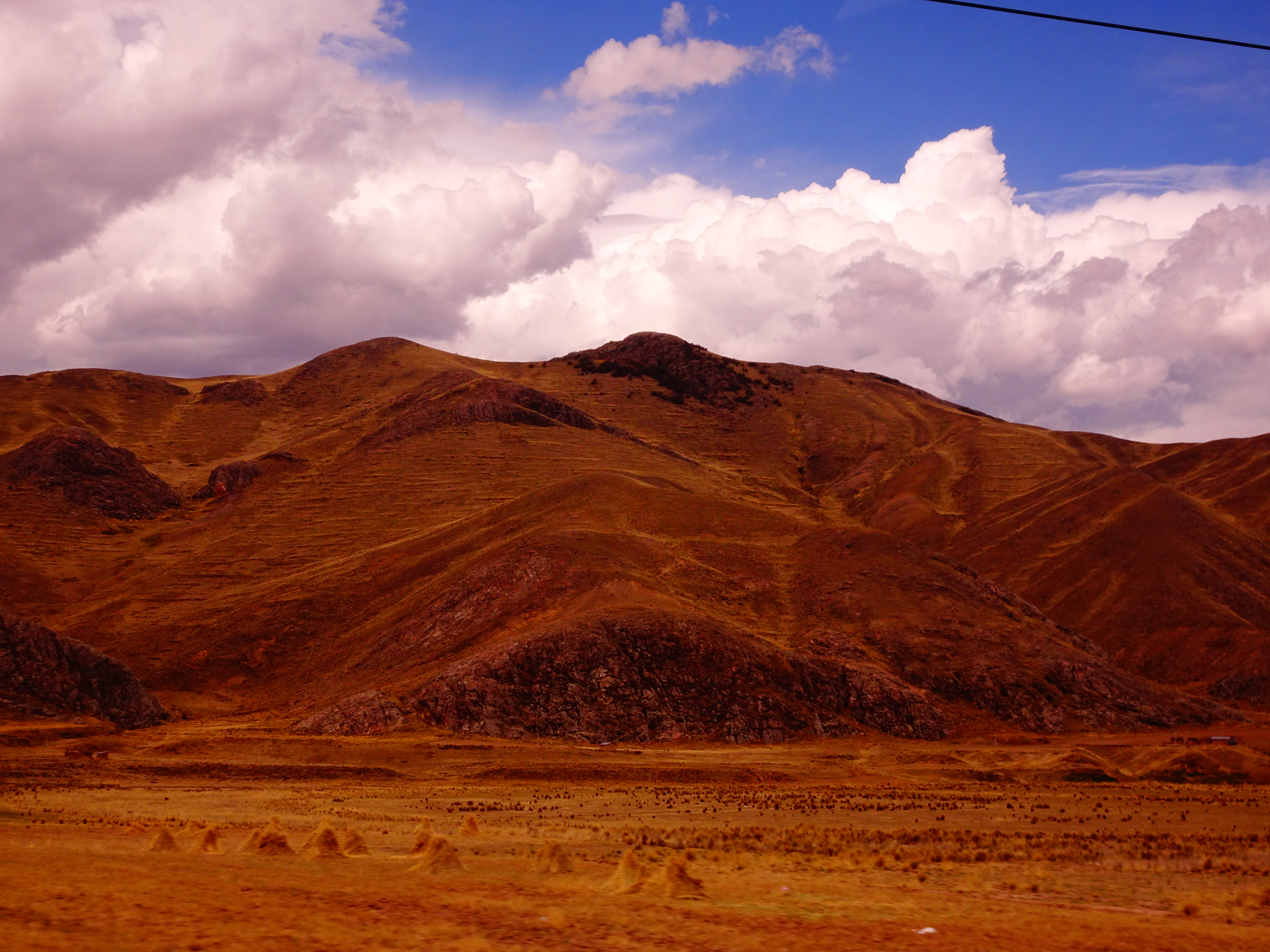 DSC08462