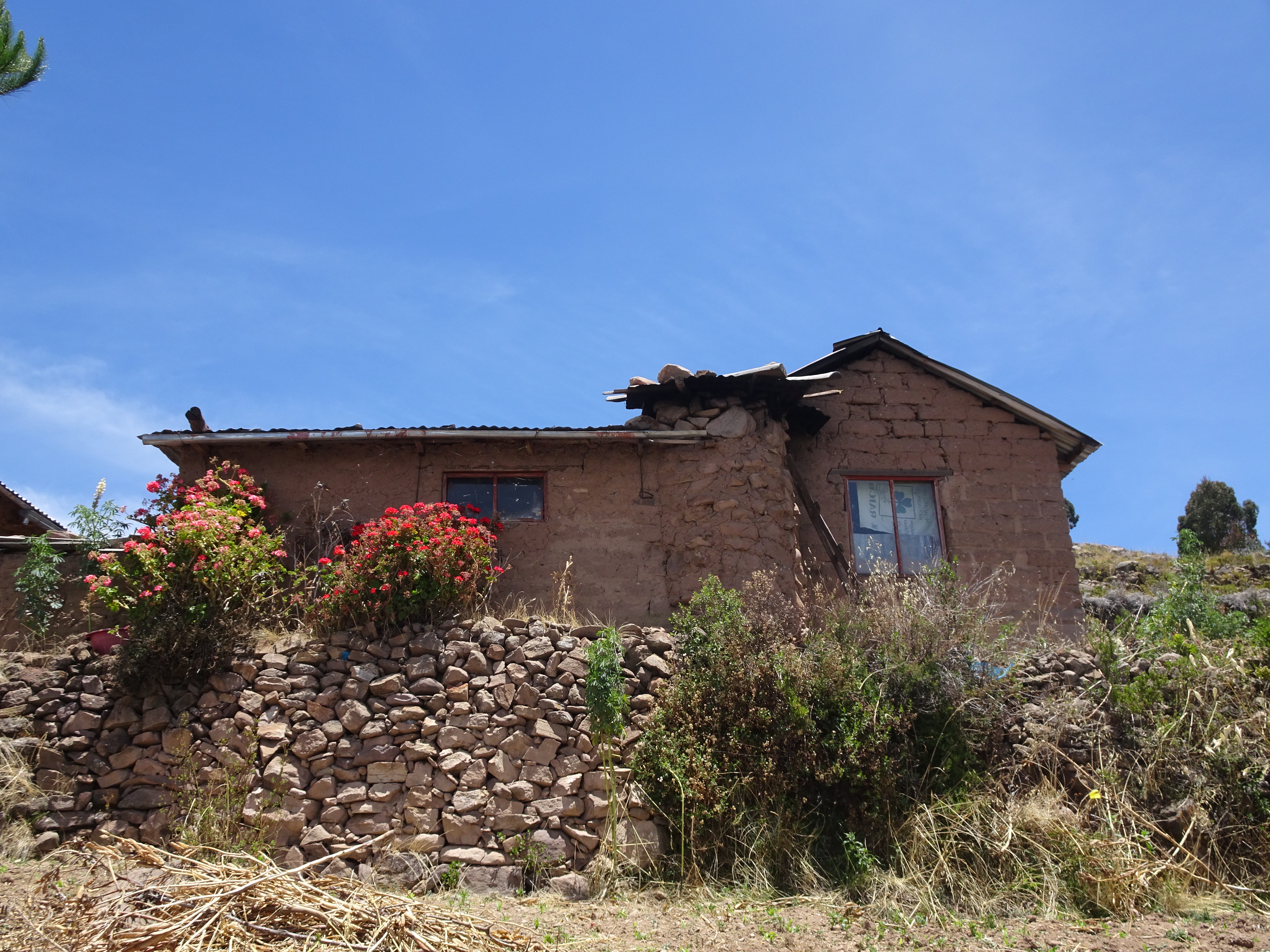 DSC08607